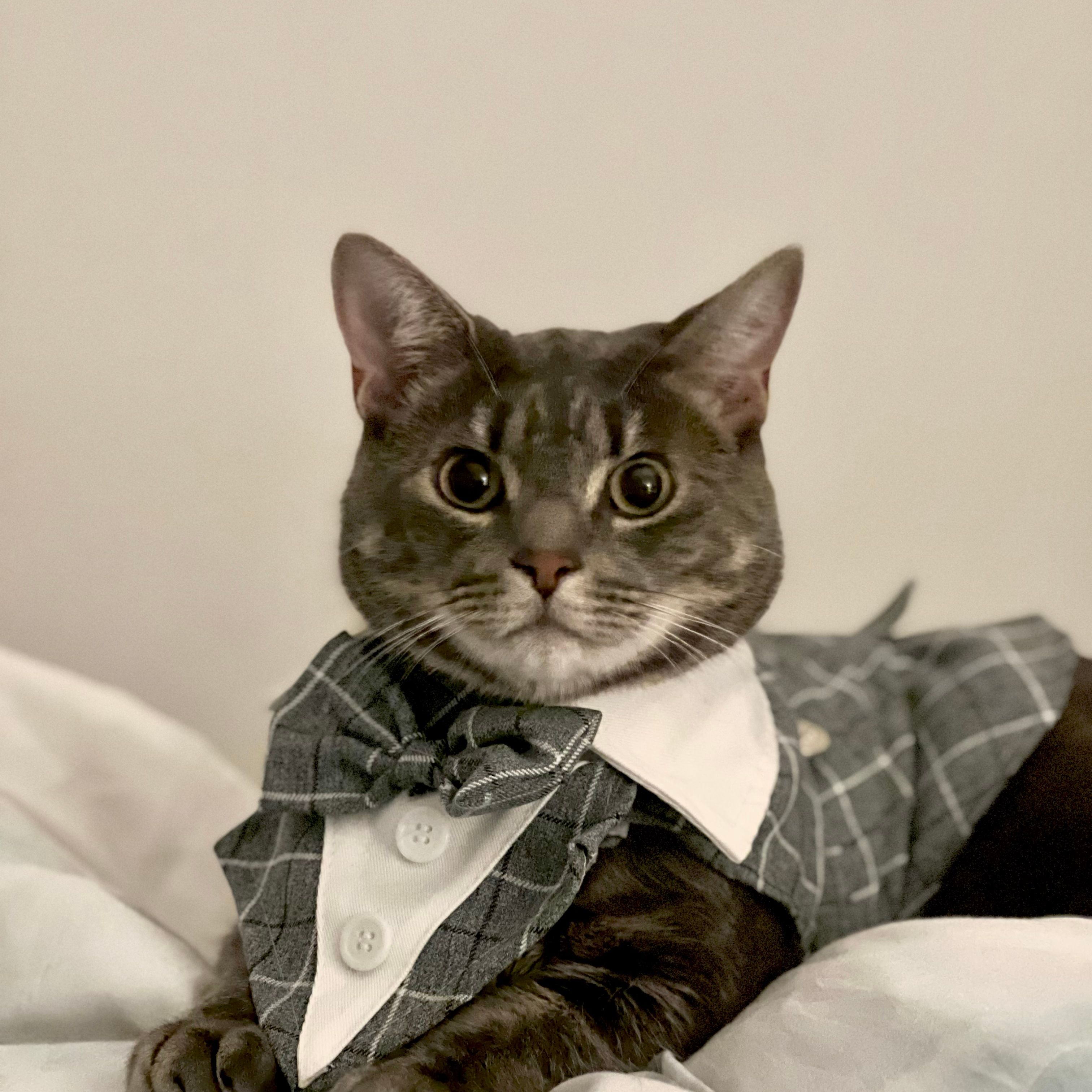 Finn