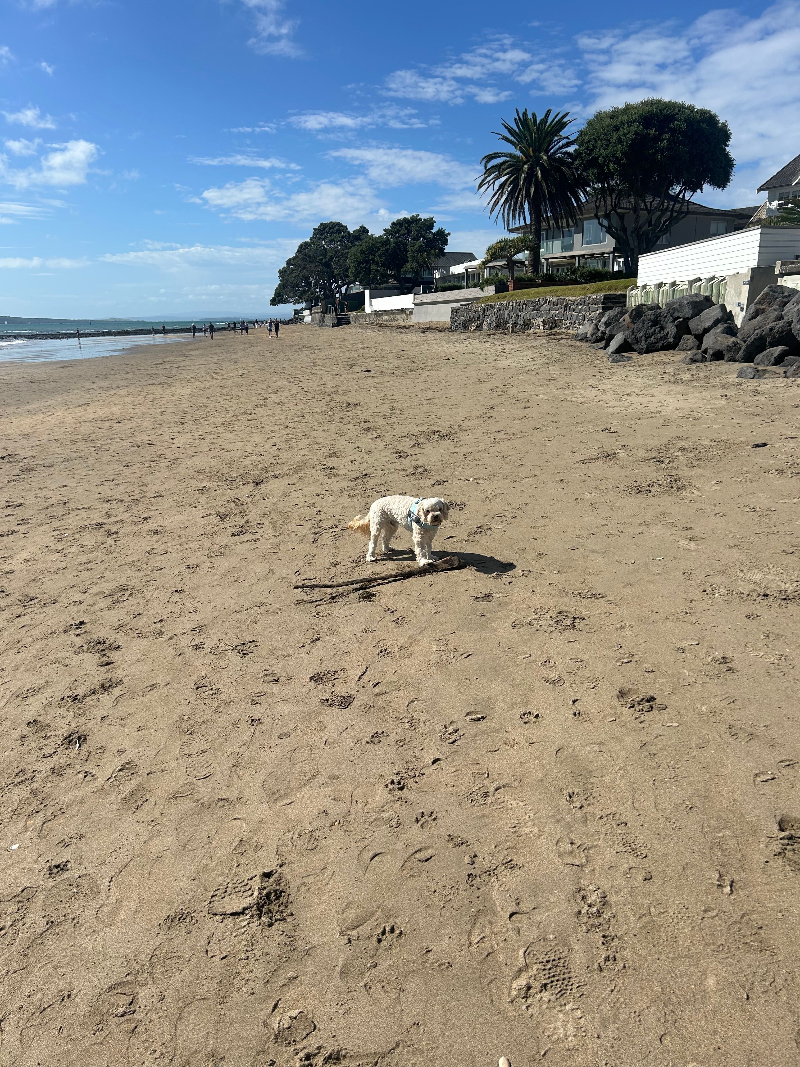 image-6
