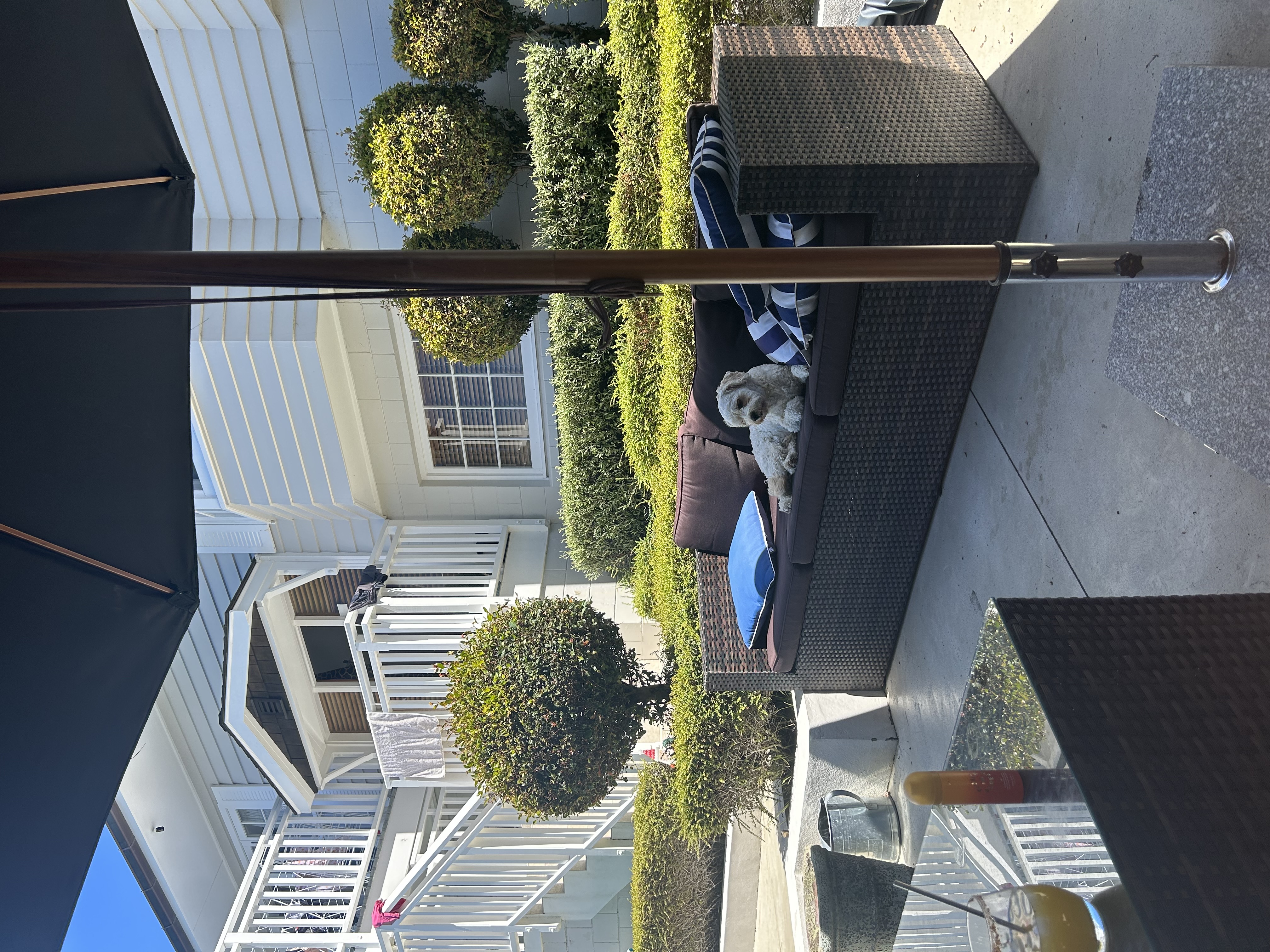 image-18