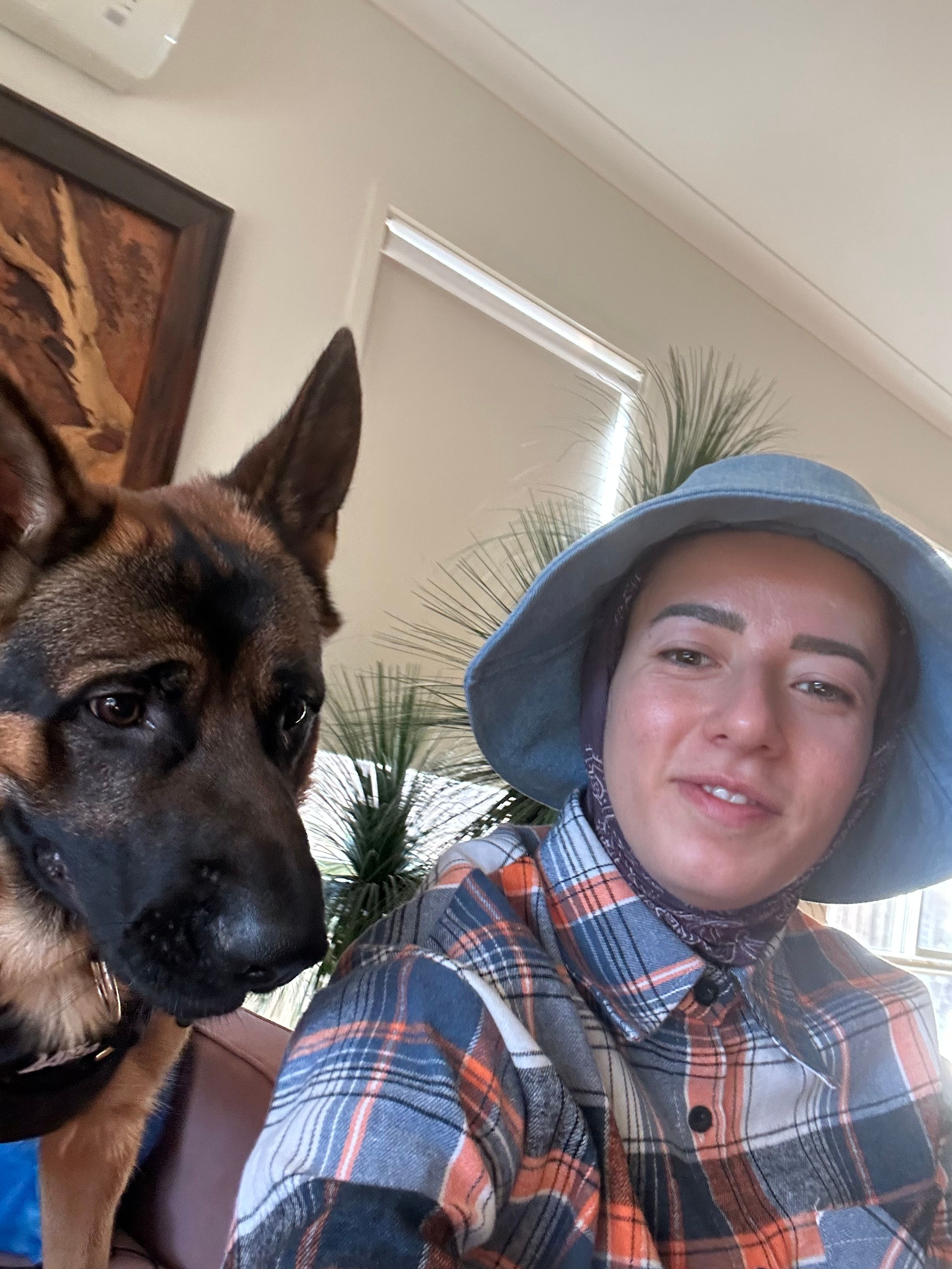 image-6