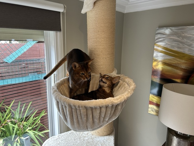 image-15