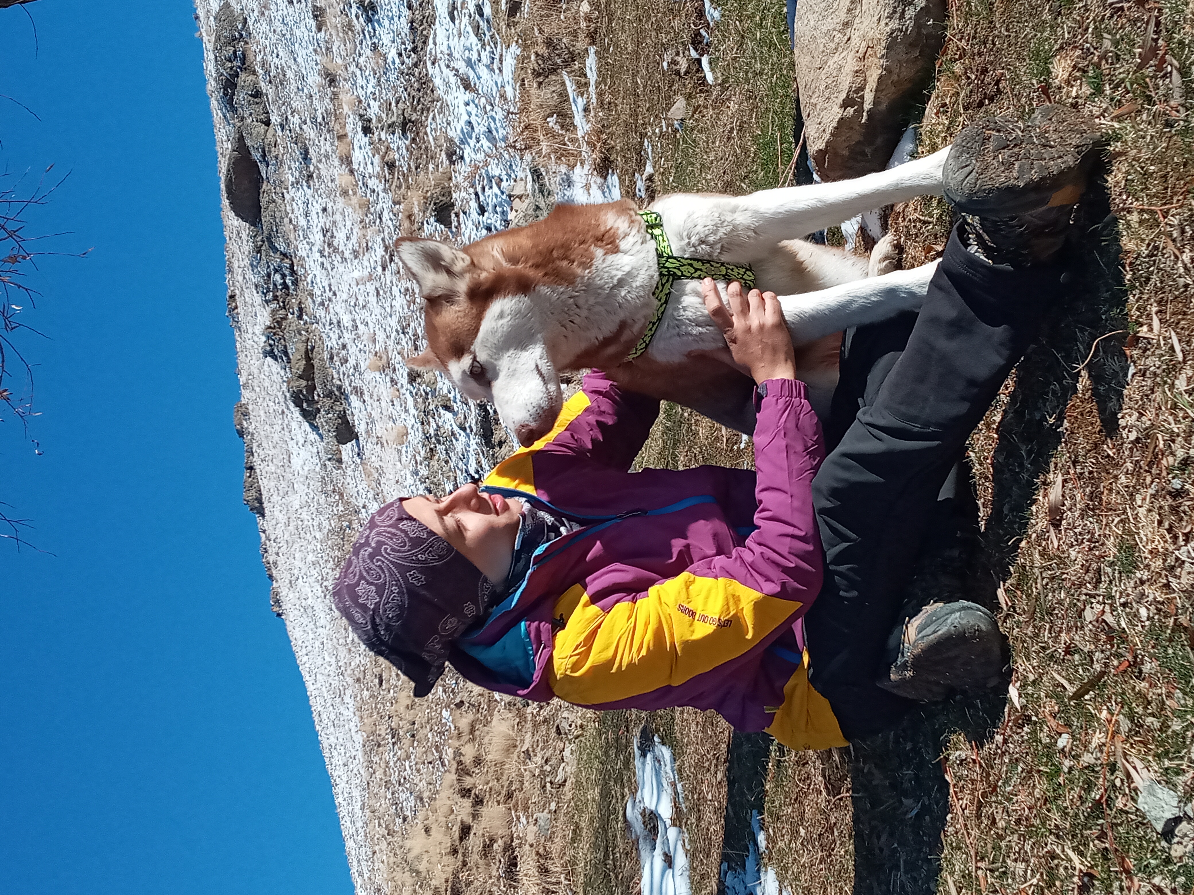 image-4