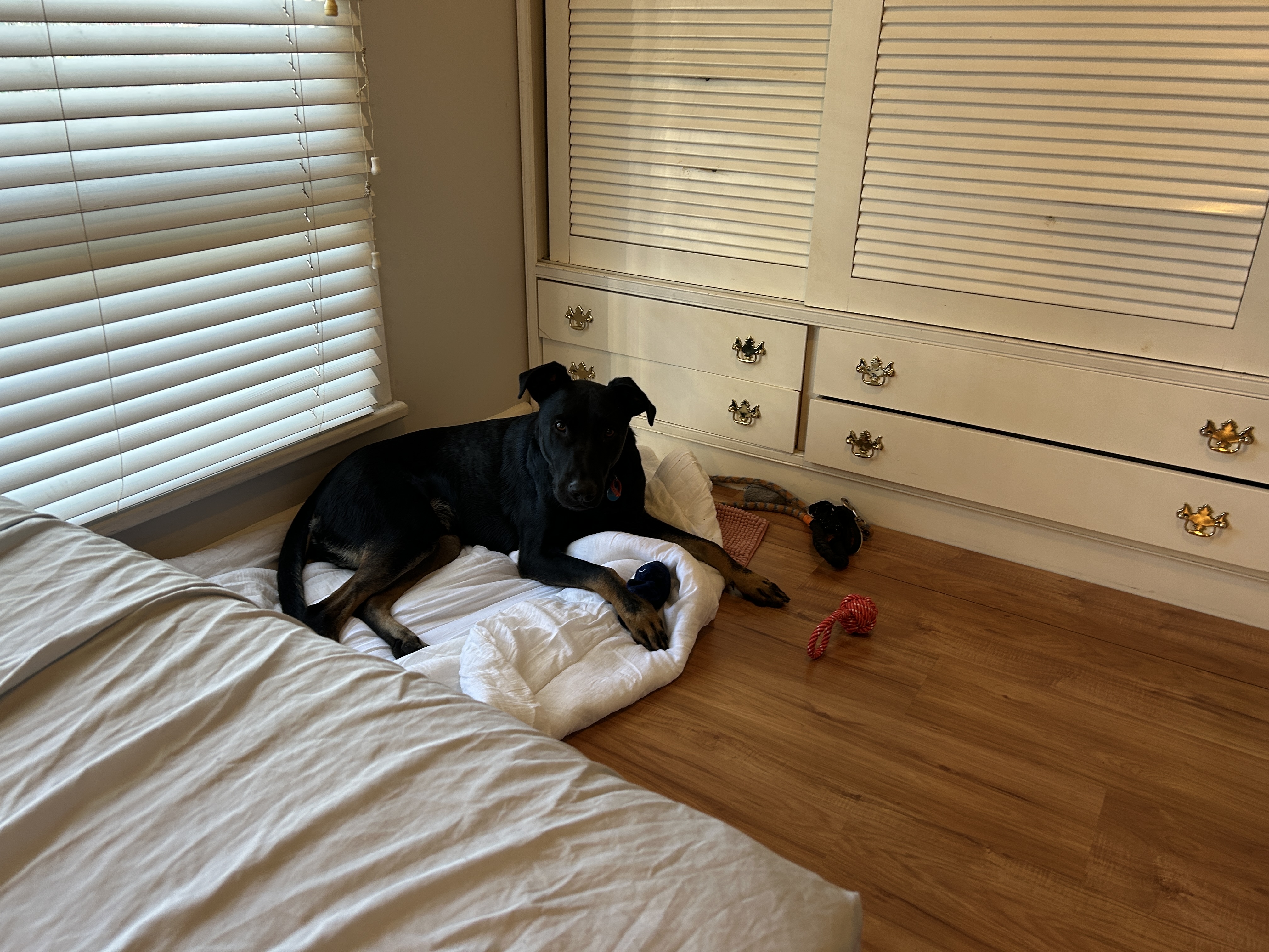 image-7