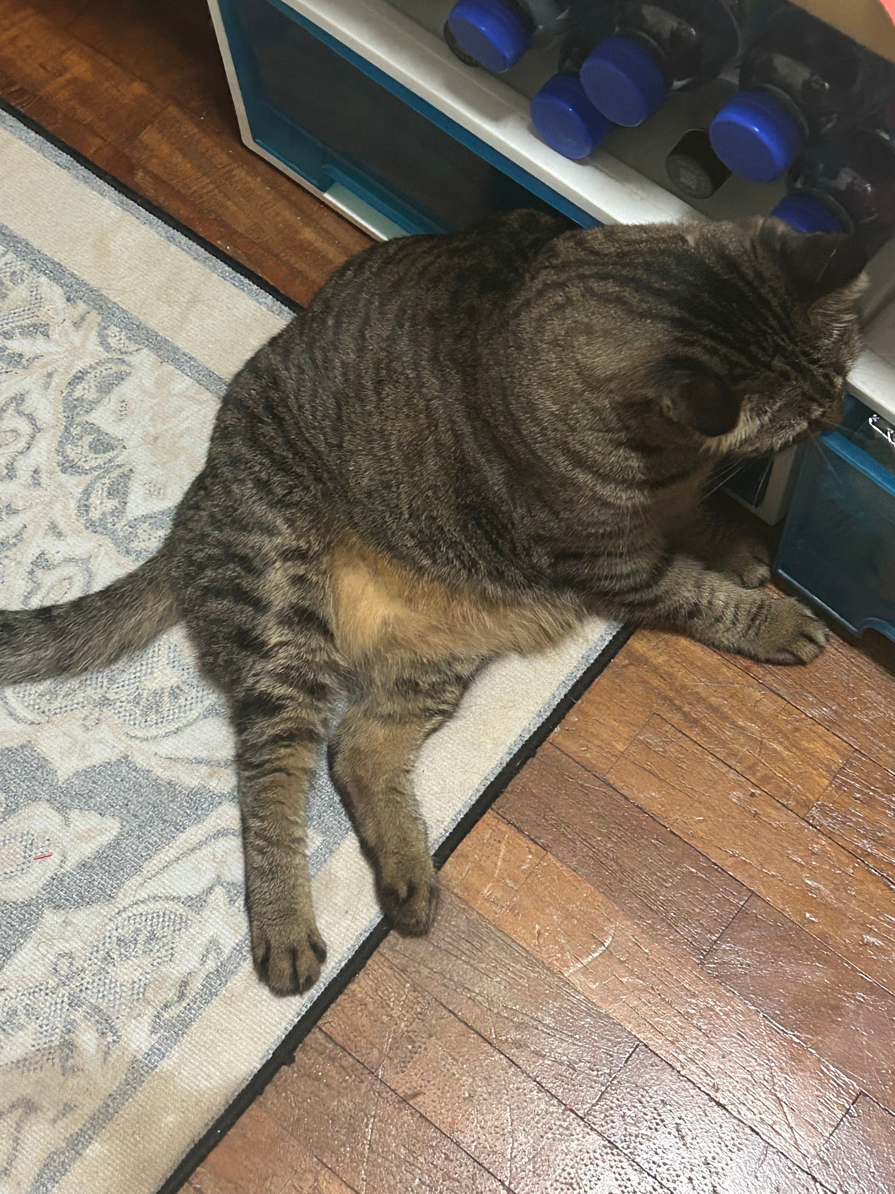 image-1