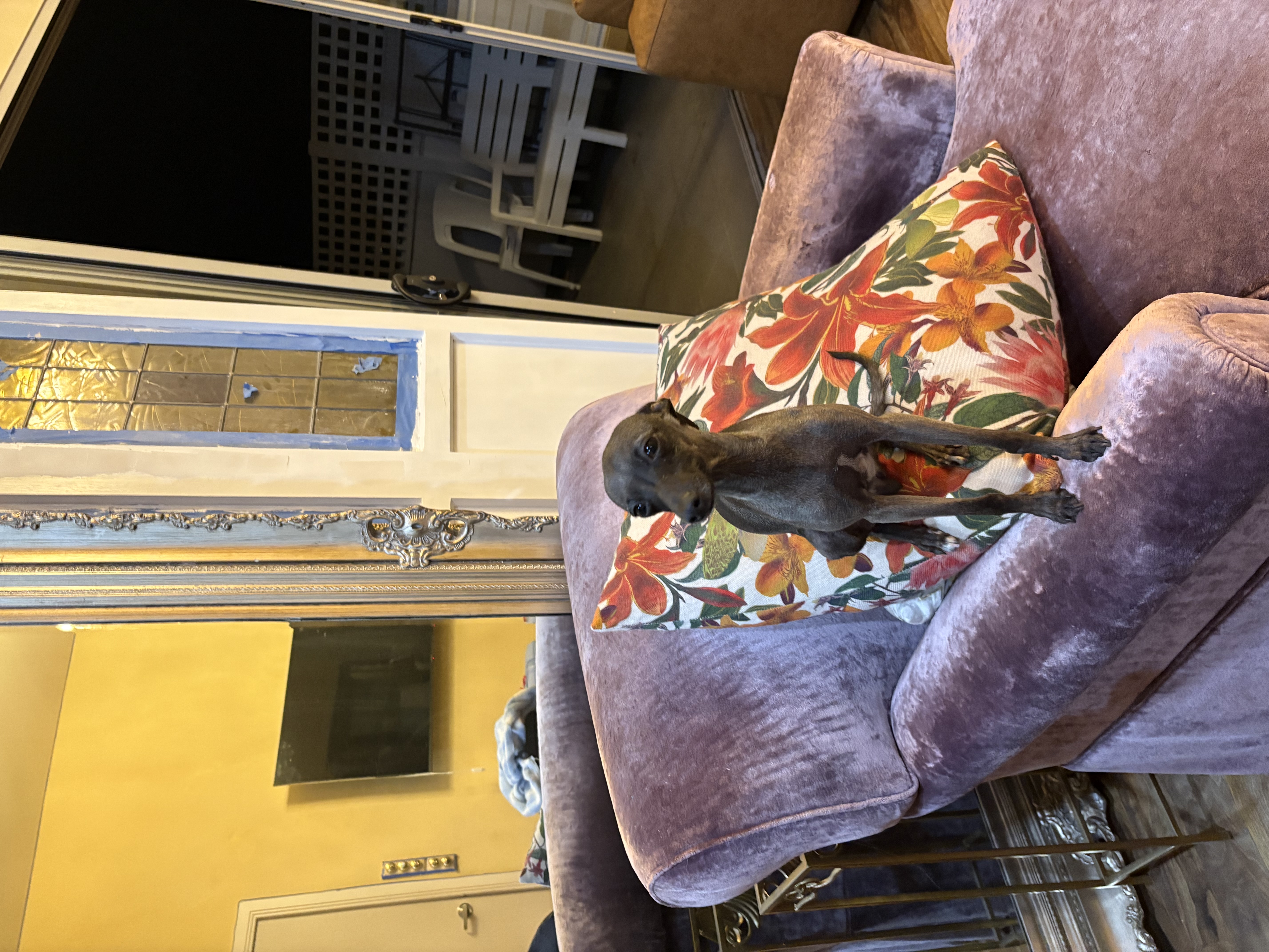 image-7