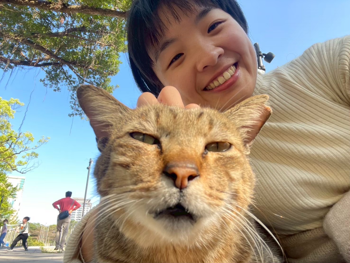 image-6