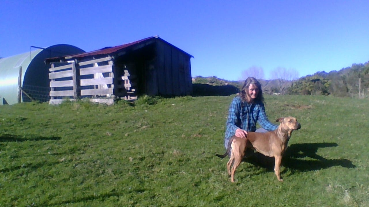 image-9