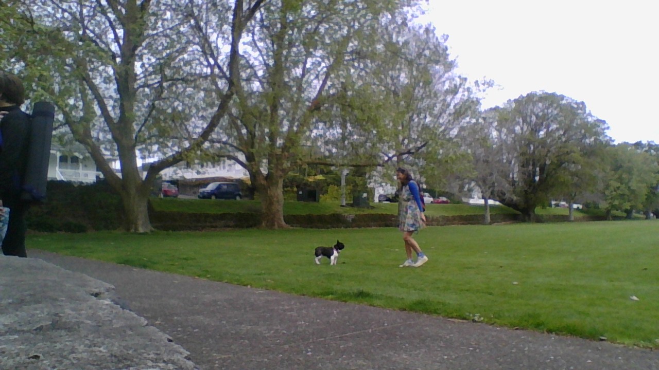 image-11