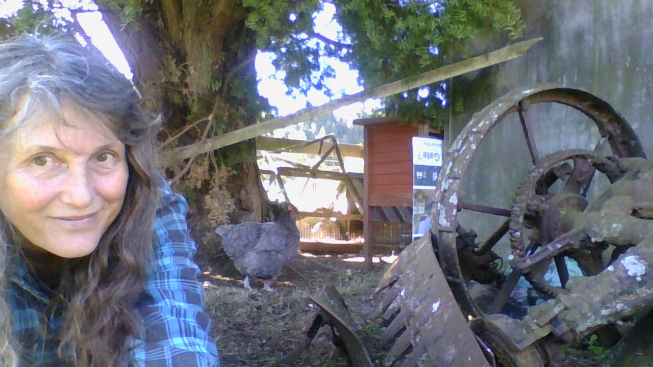 image-7