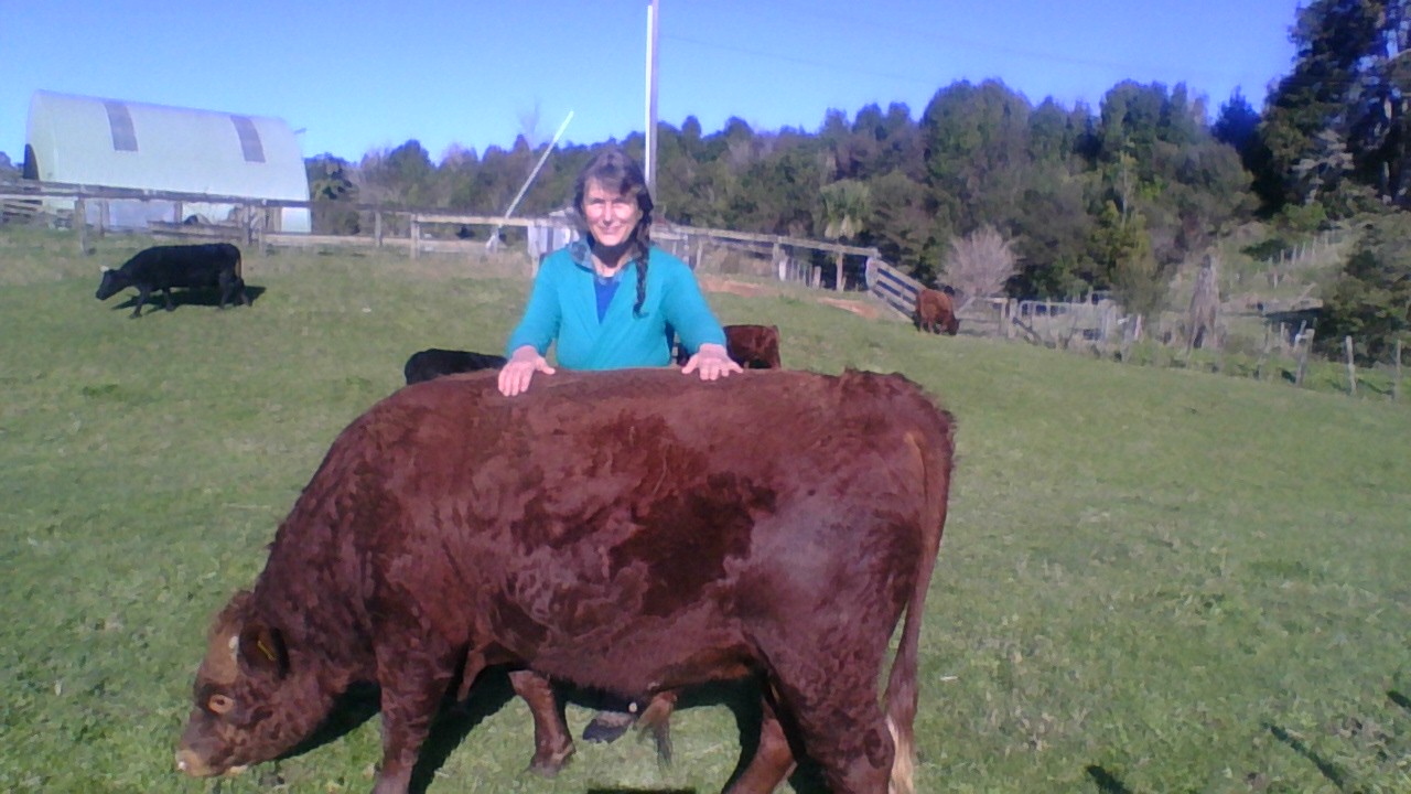 image-8