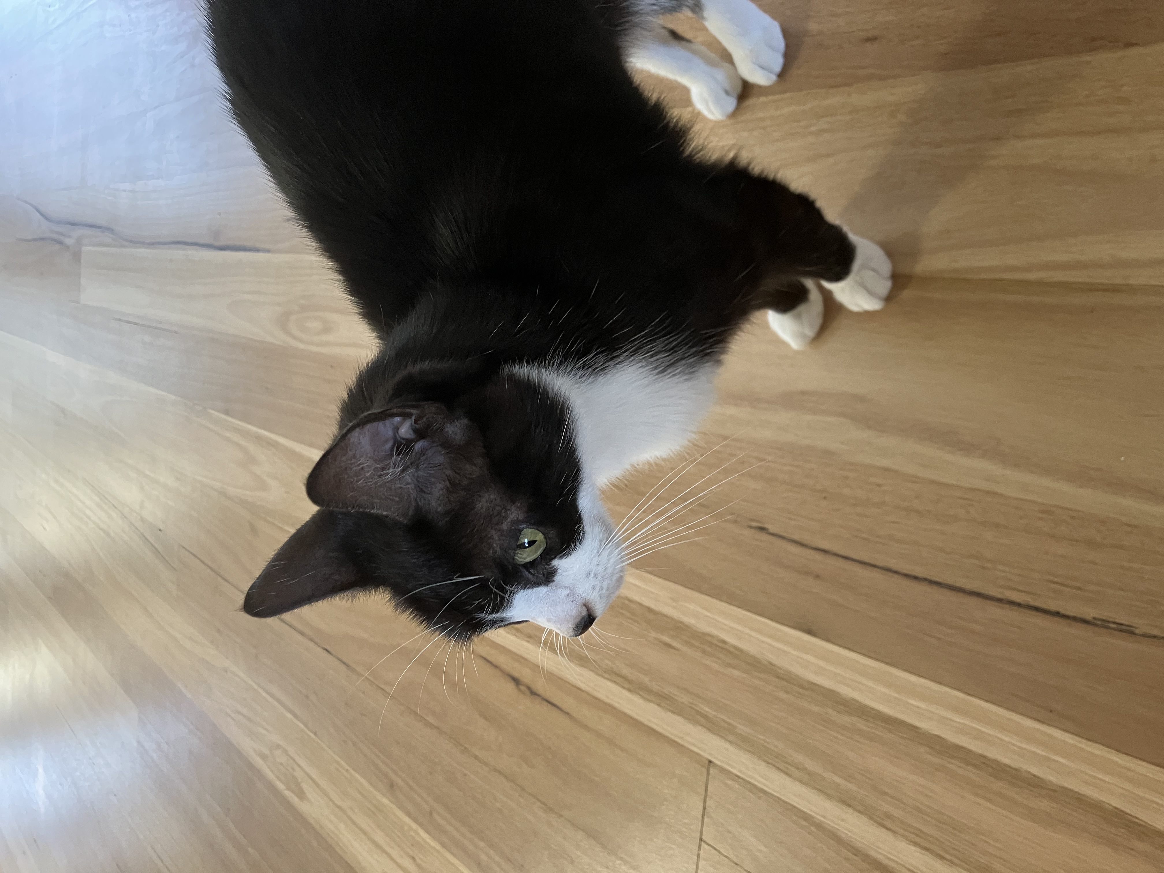 image-8