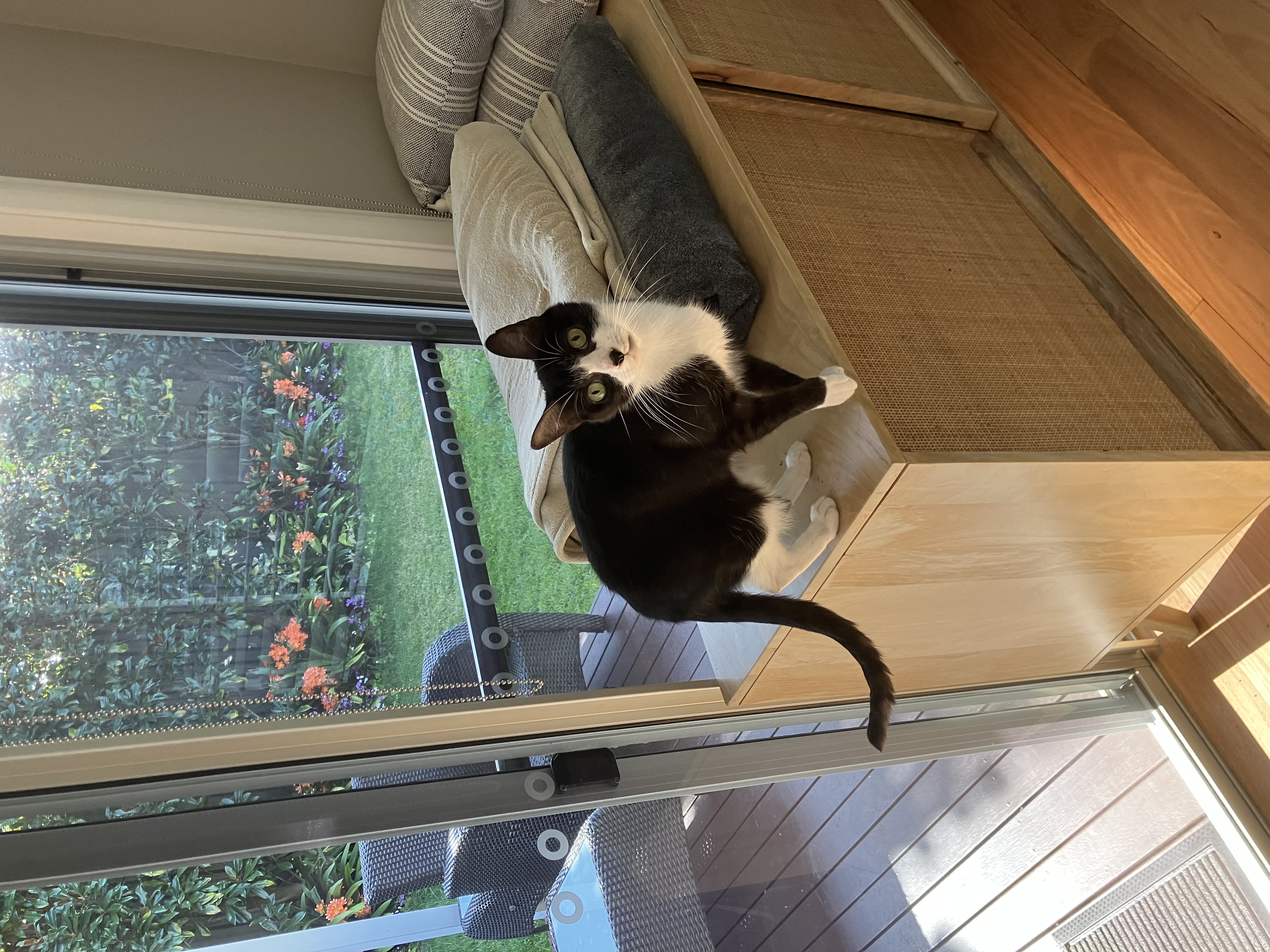 image-9