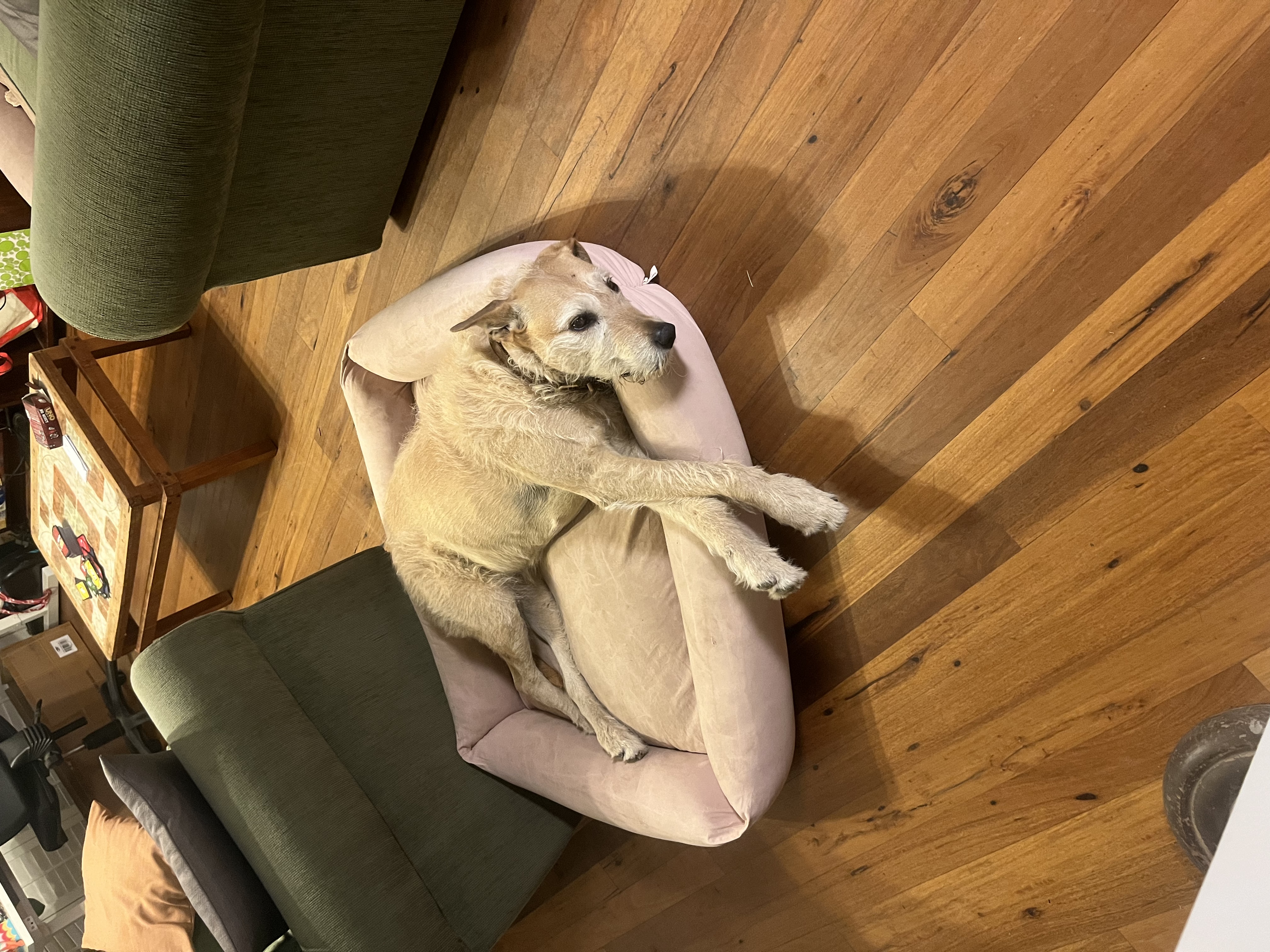 image-11