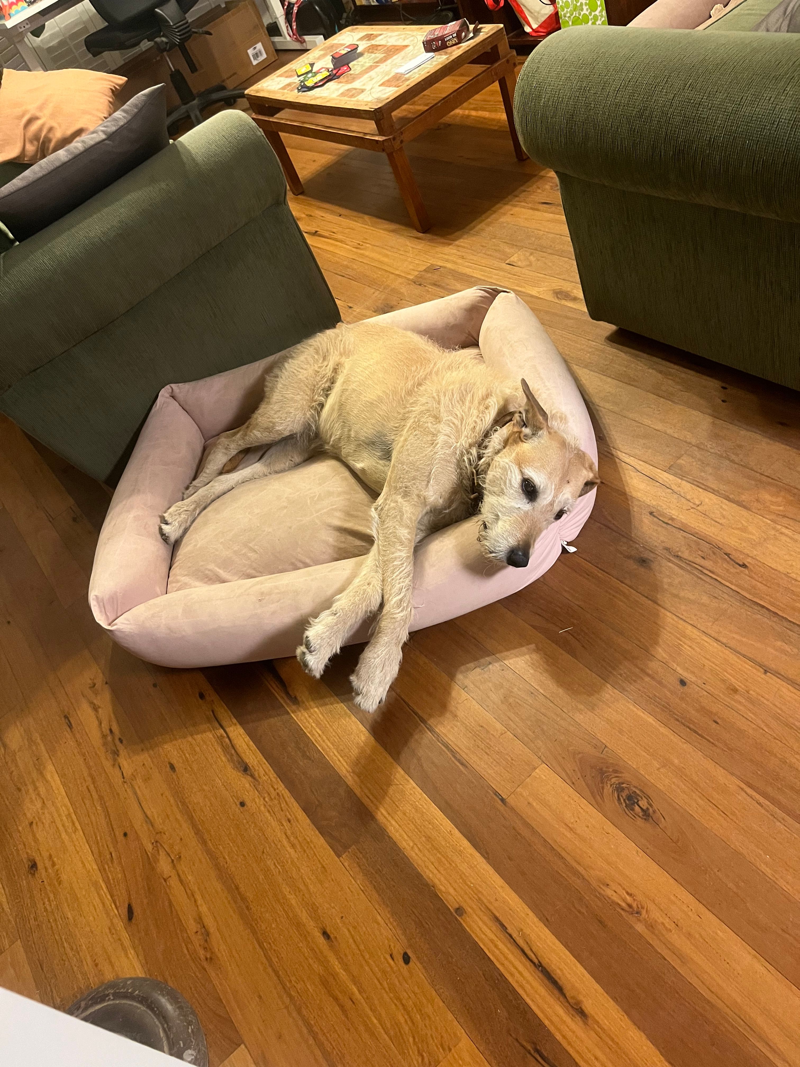 image-11