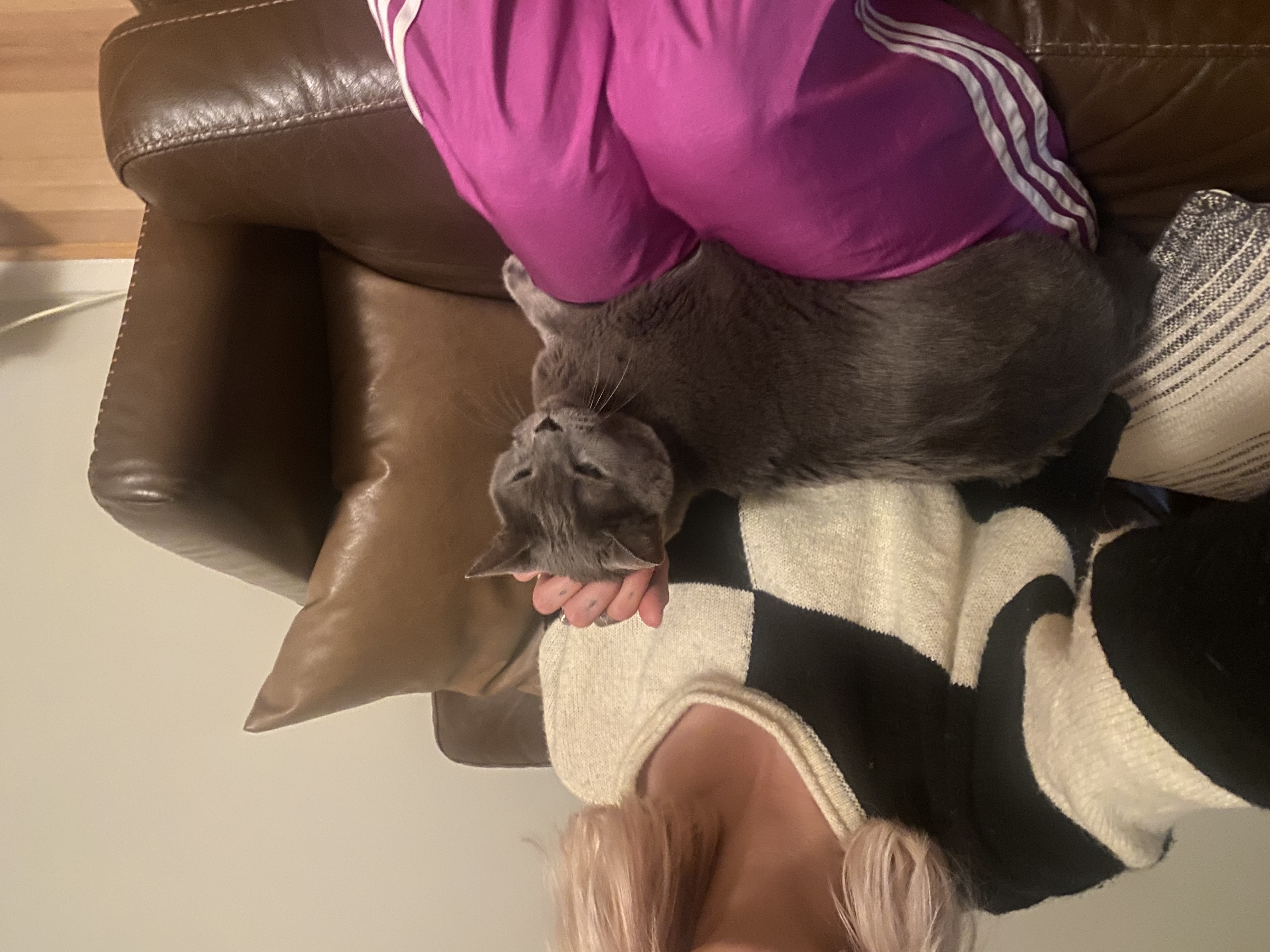 image-7