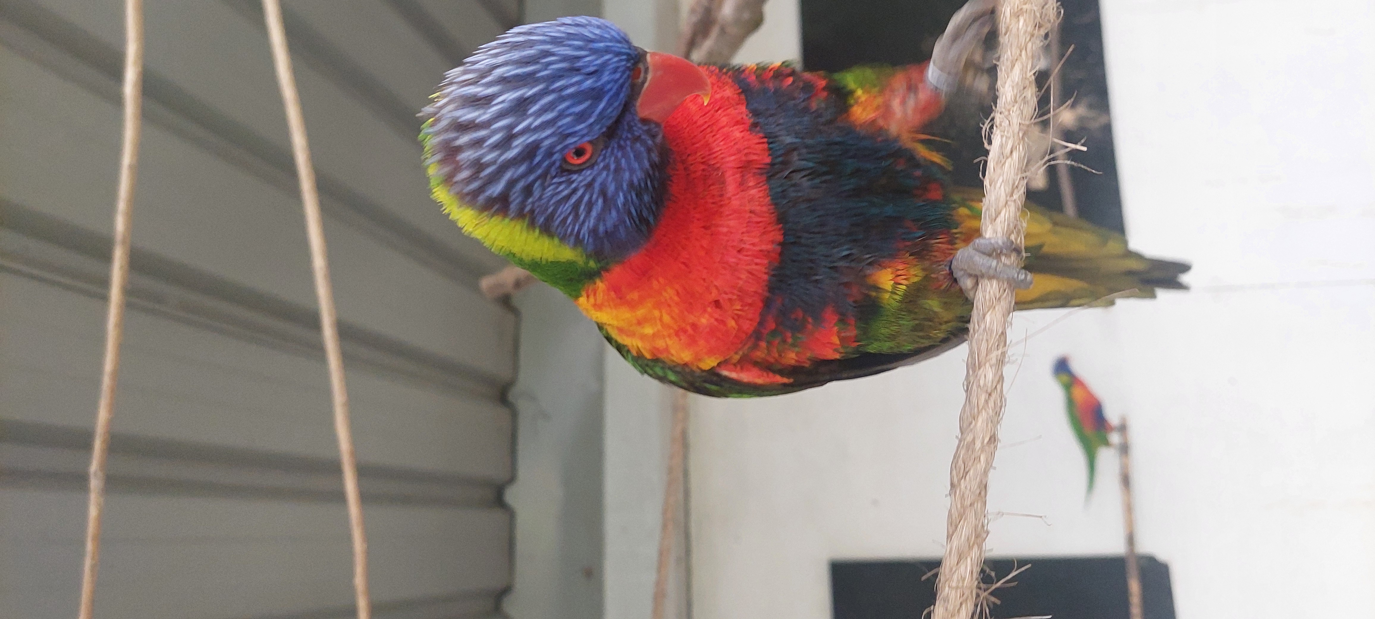 image-9