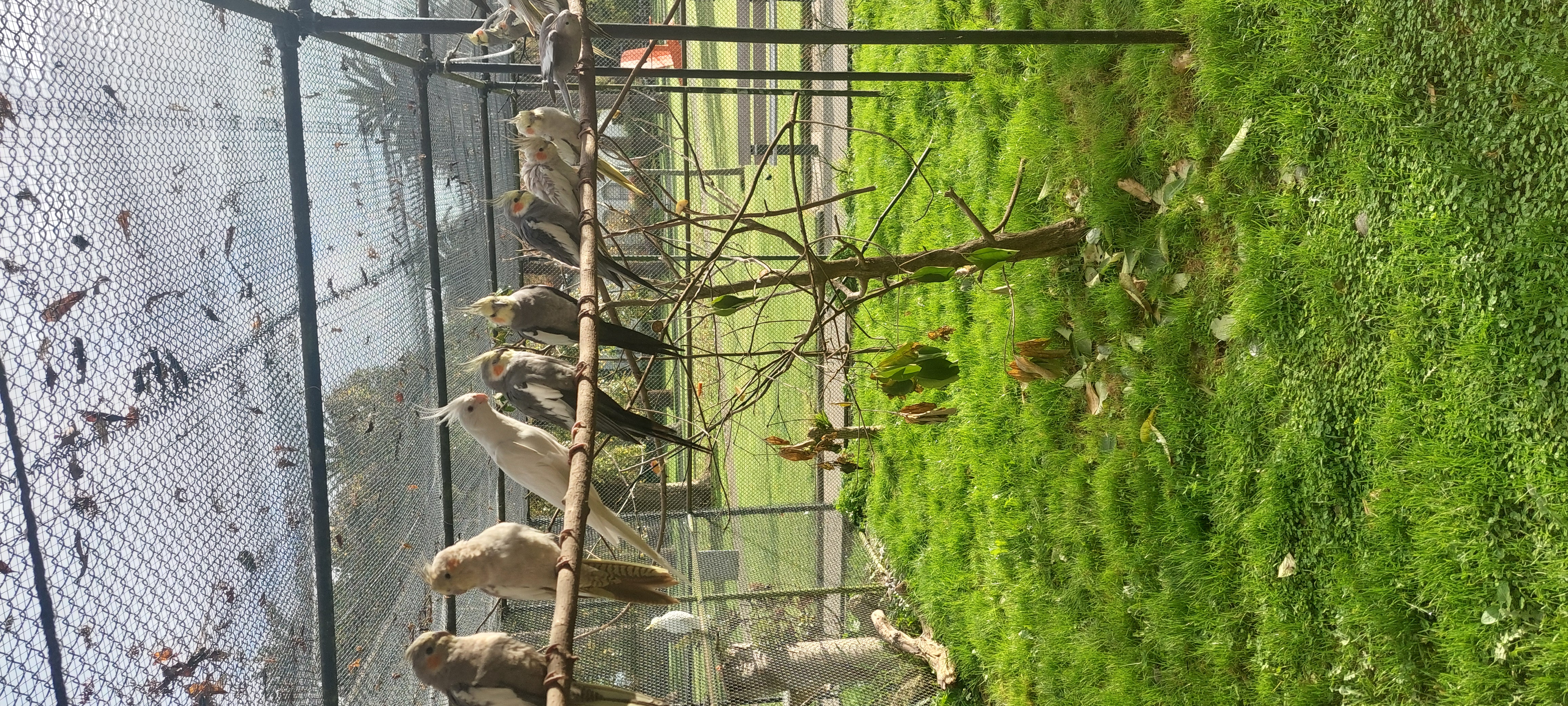 image-10