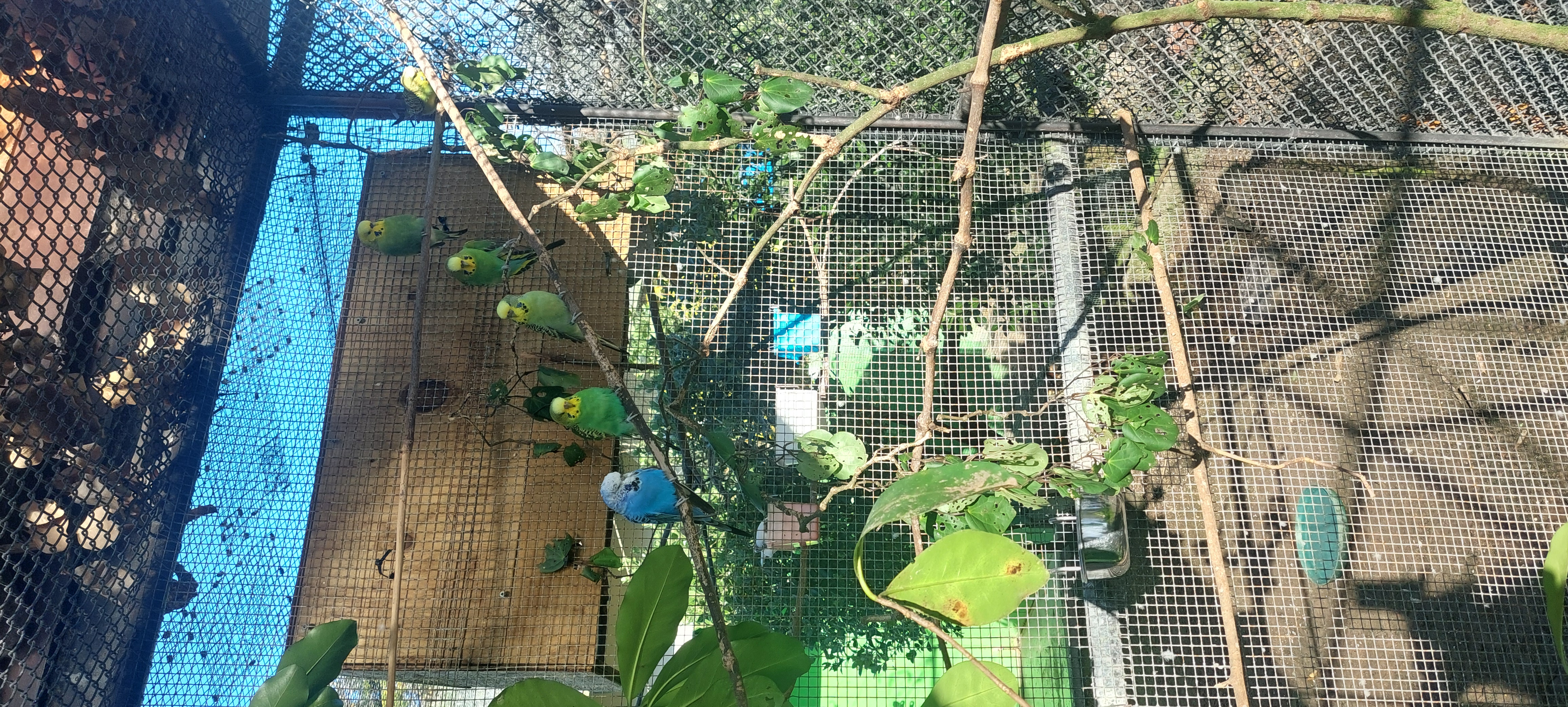 image-7