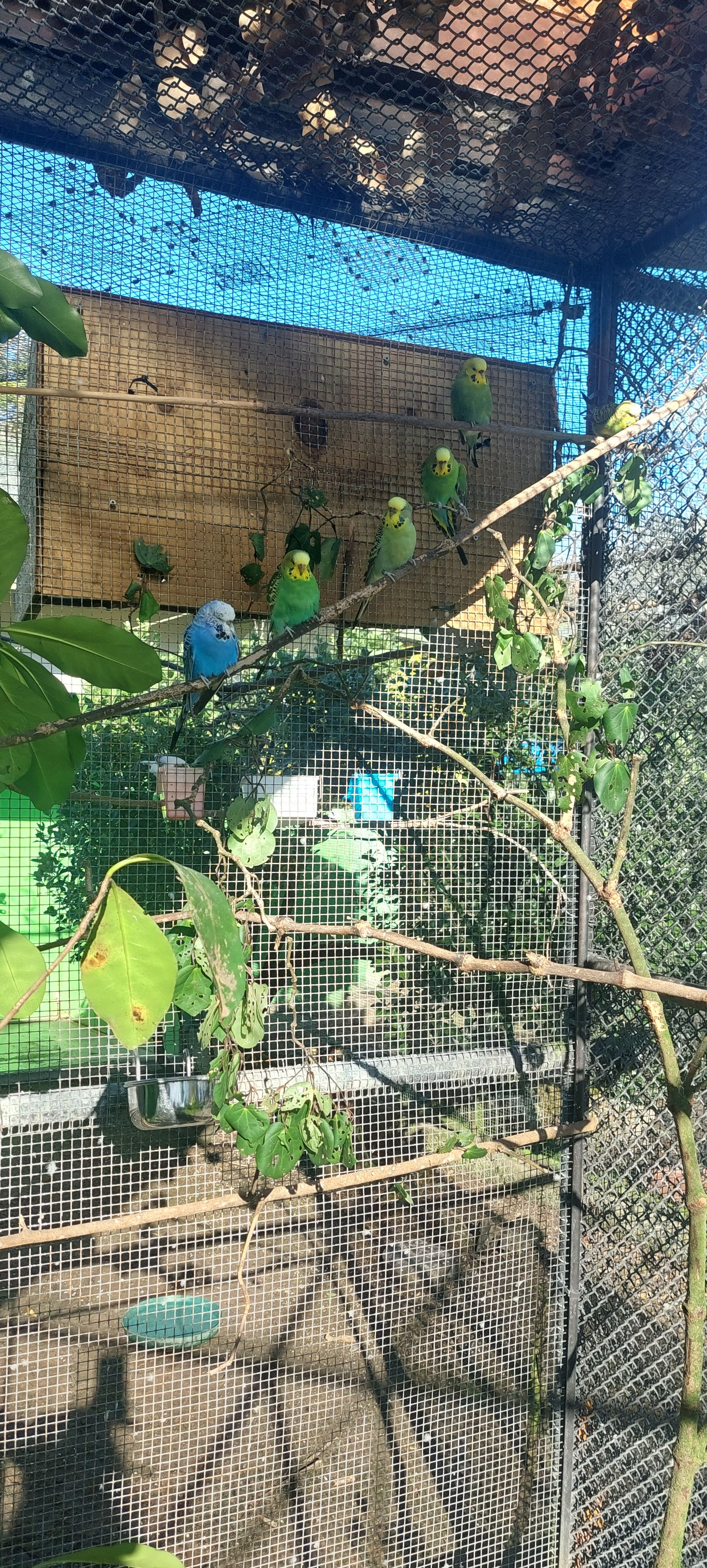 image-7