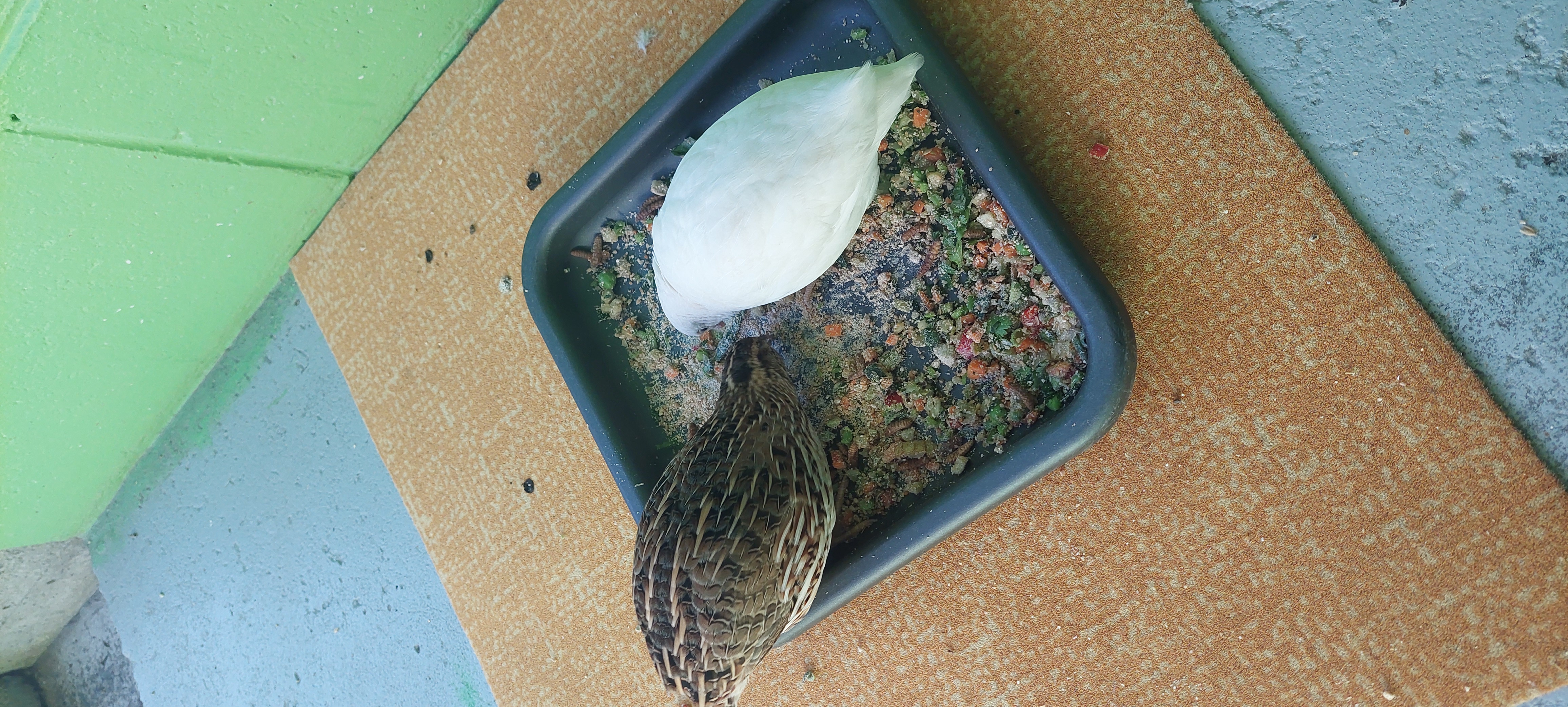image-6