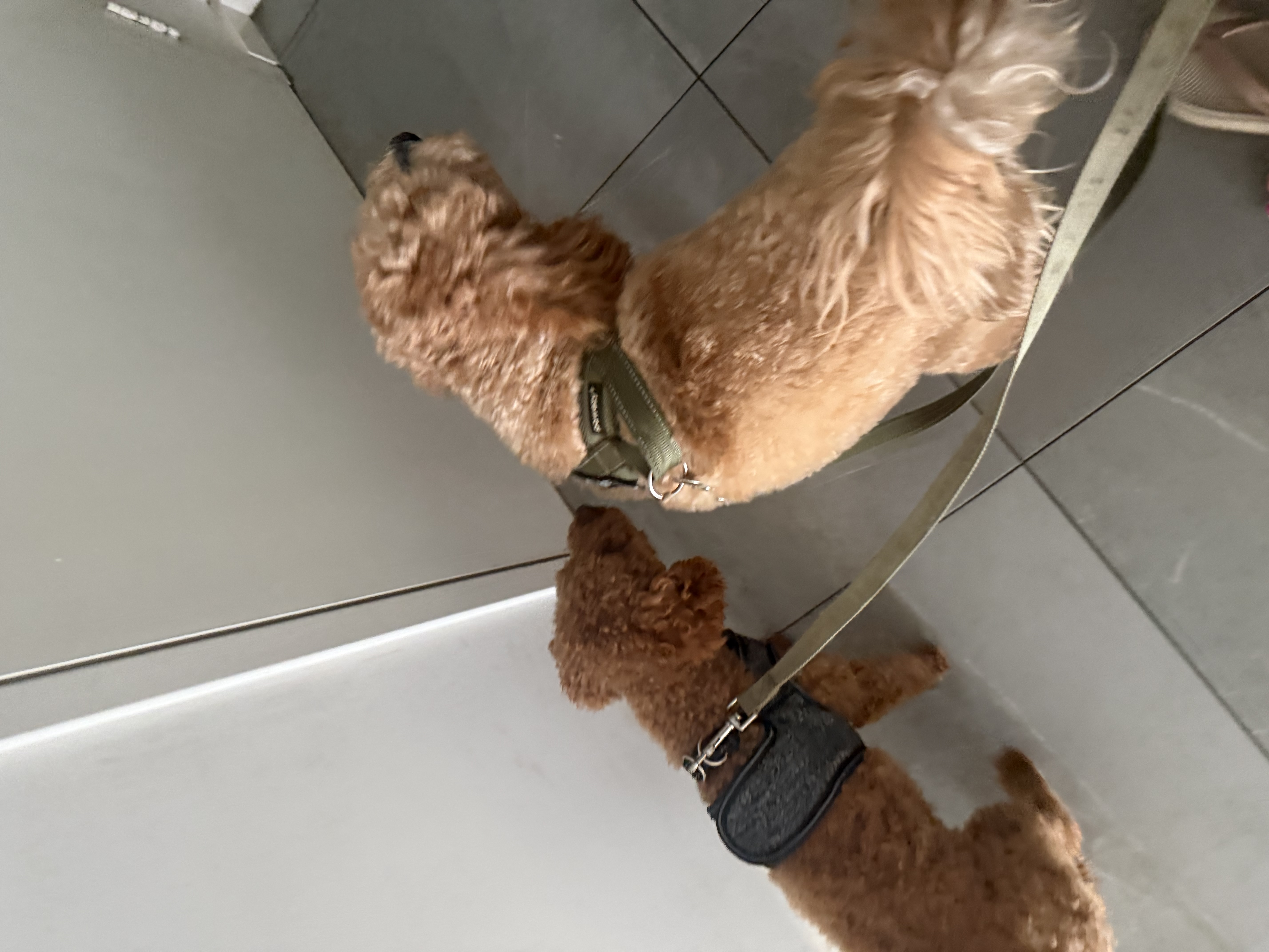 image-26