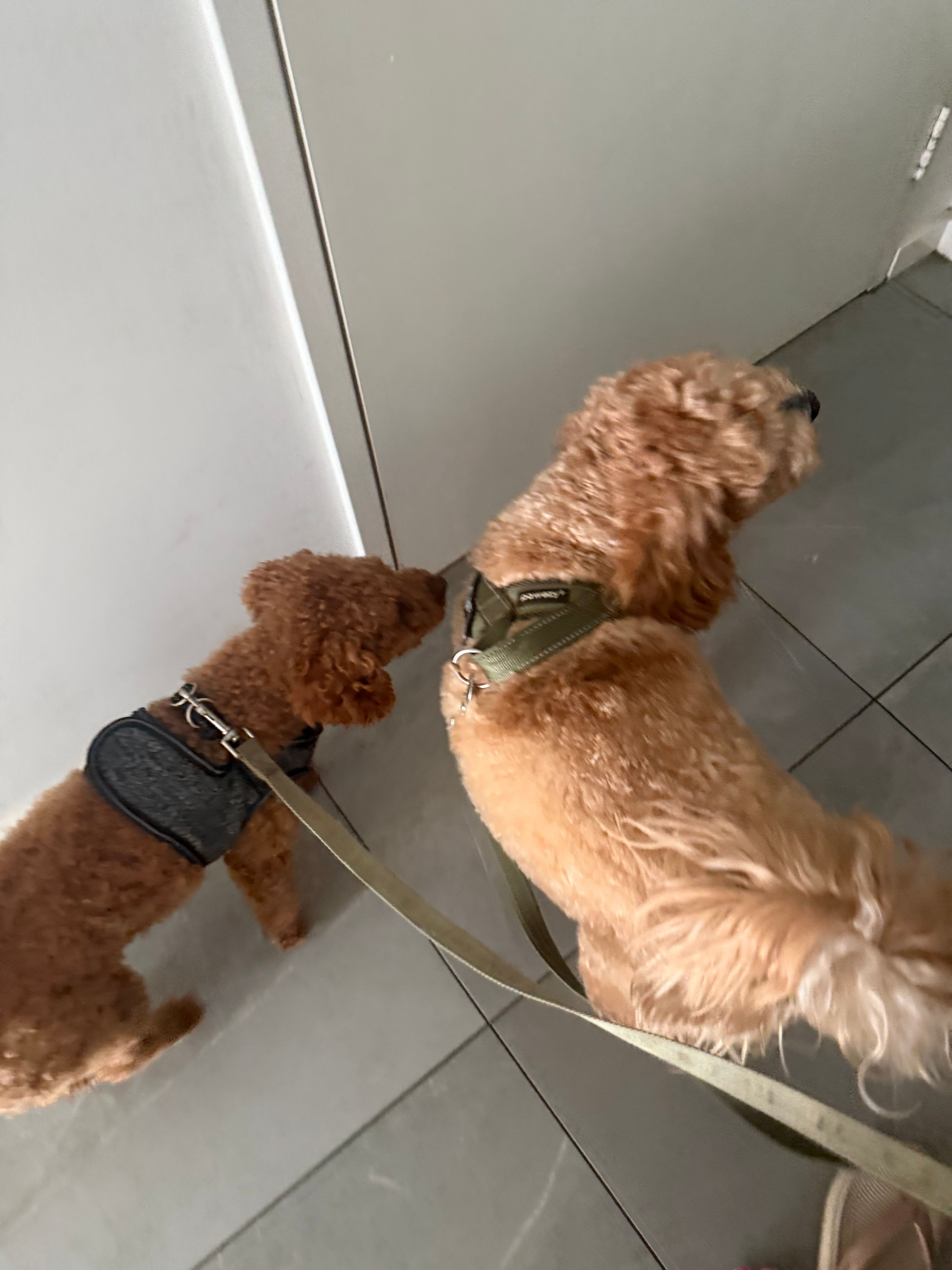 image-26