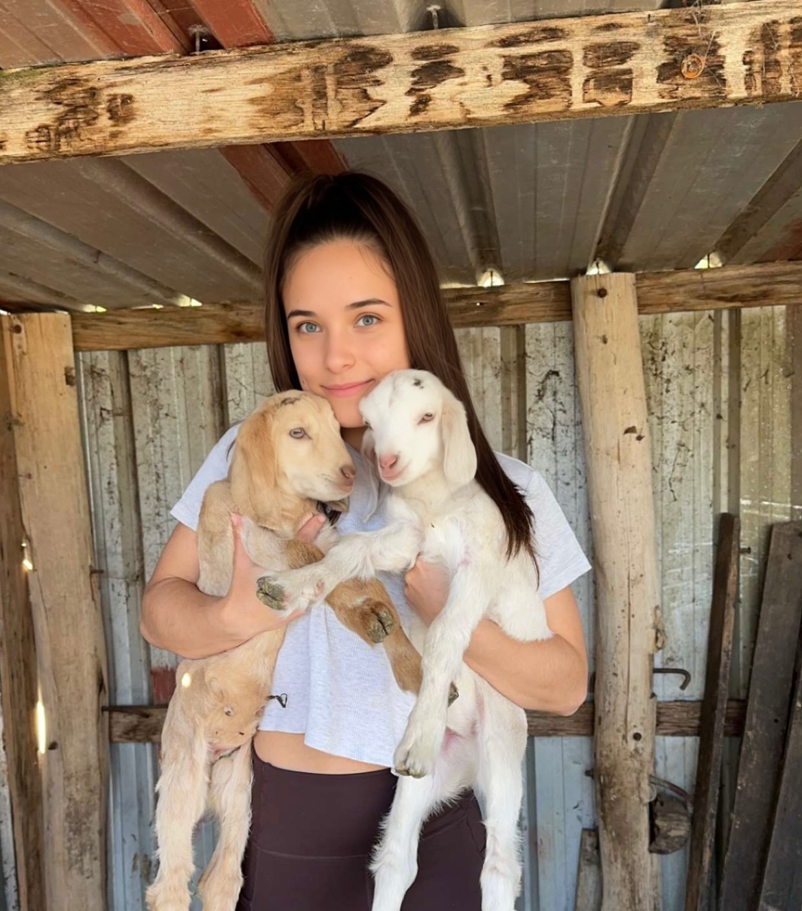 image-8