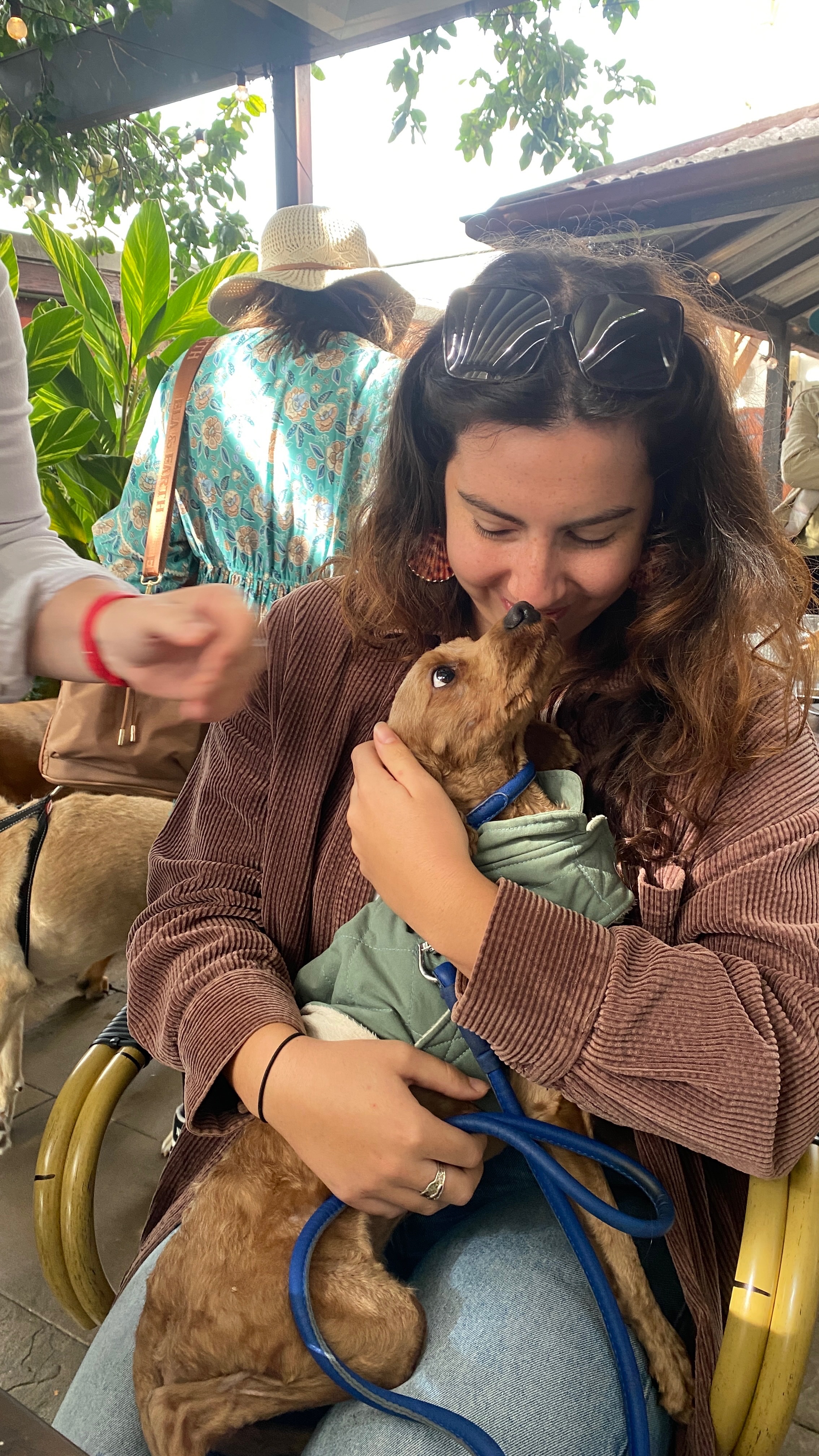 image-7