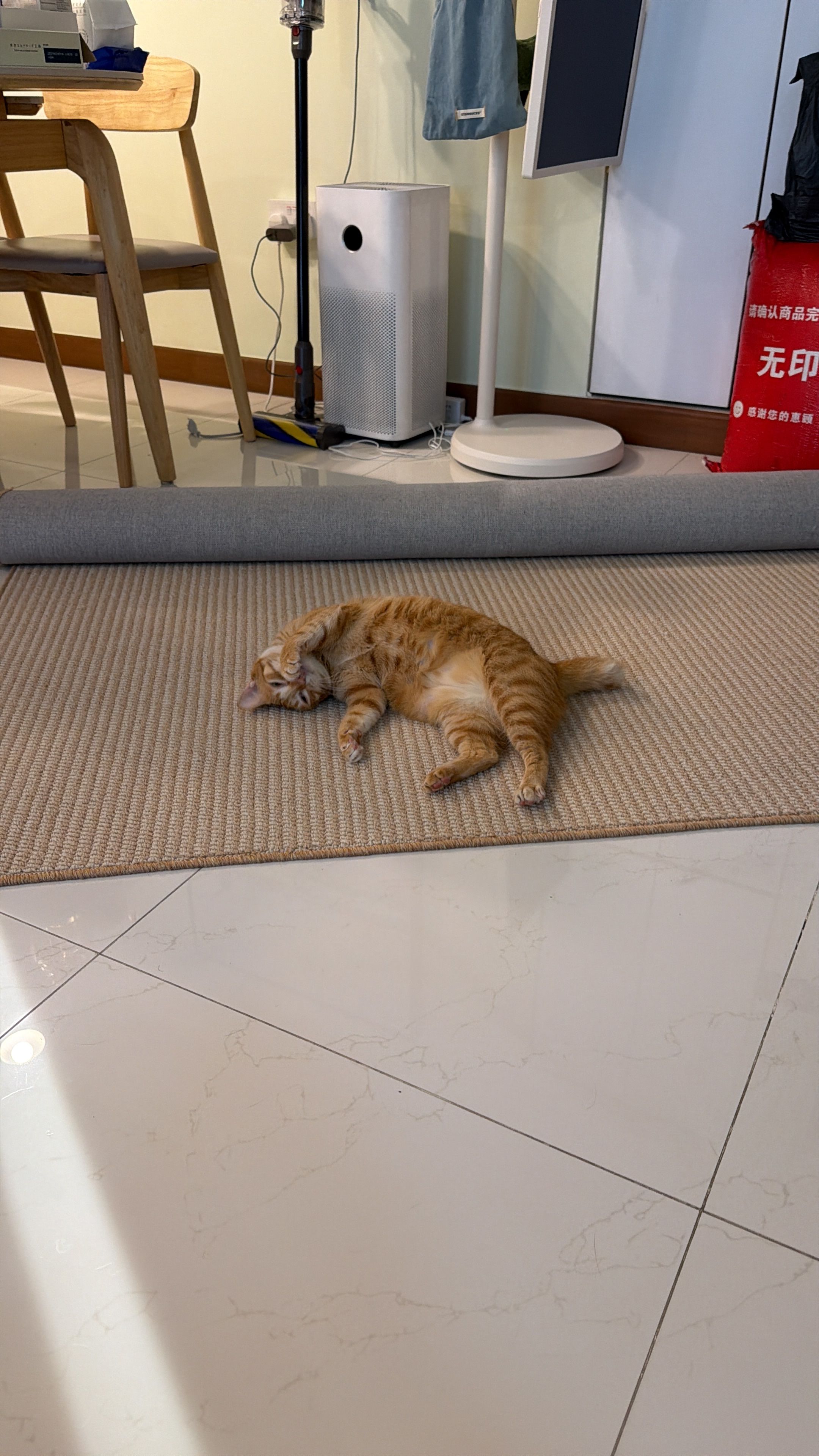 image-36
