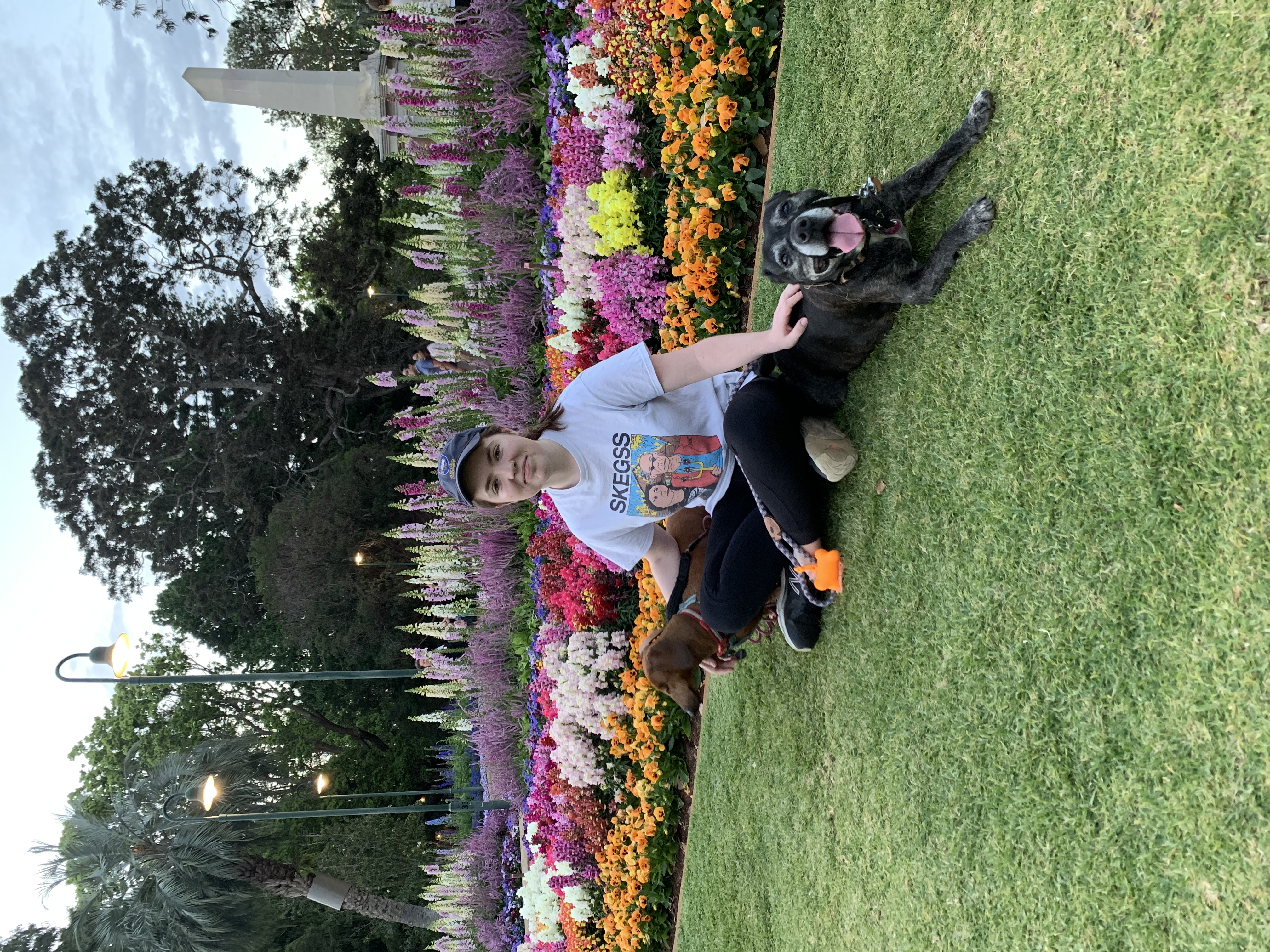 image-7