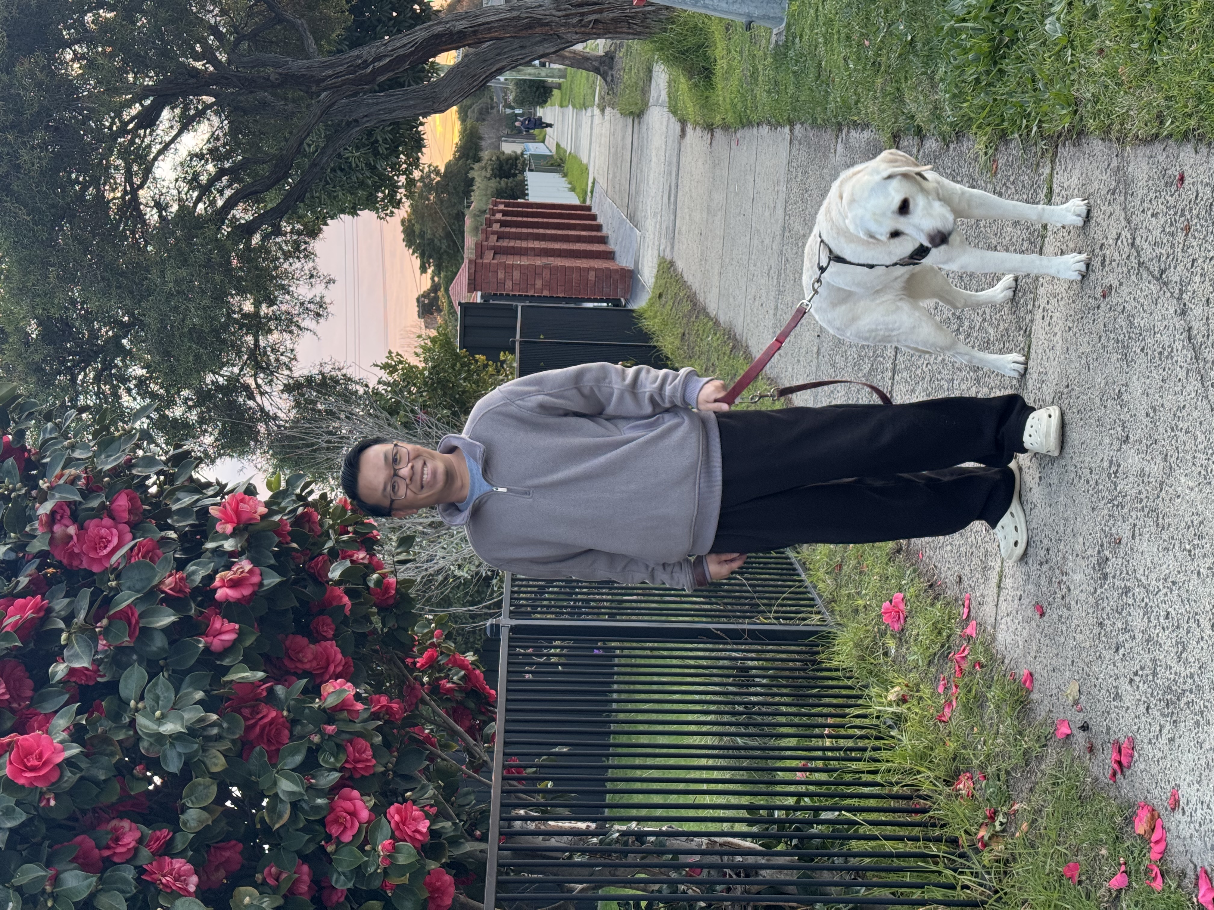 image-18