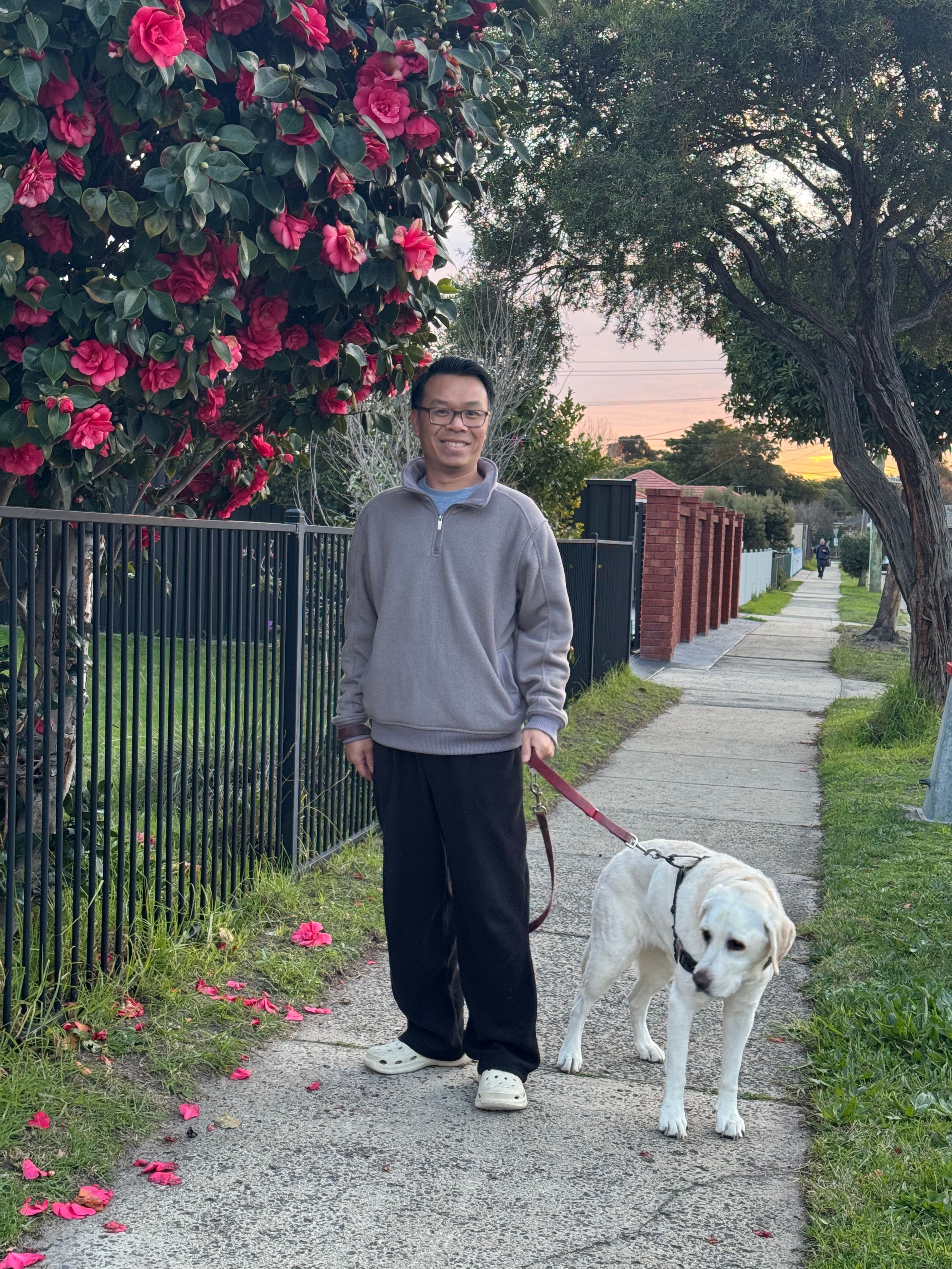 image-18