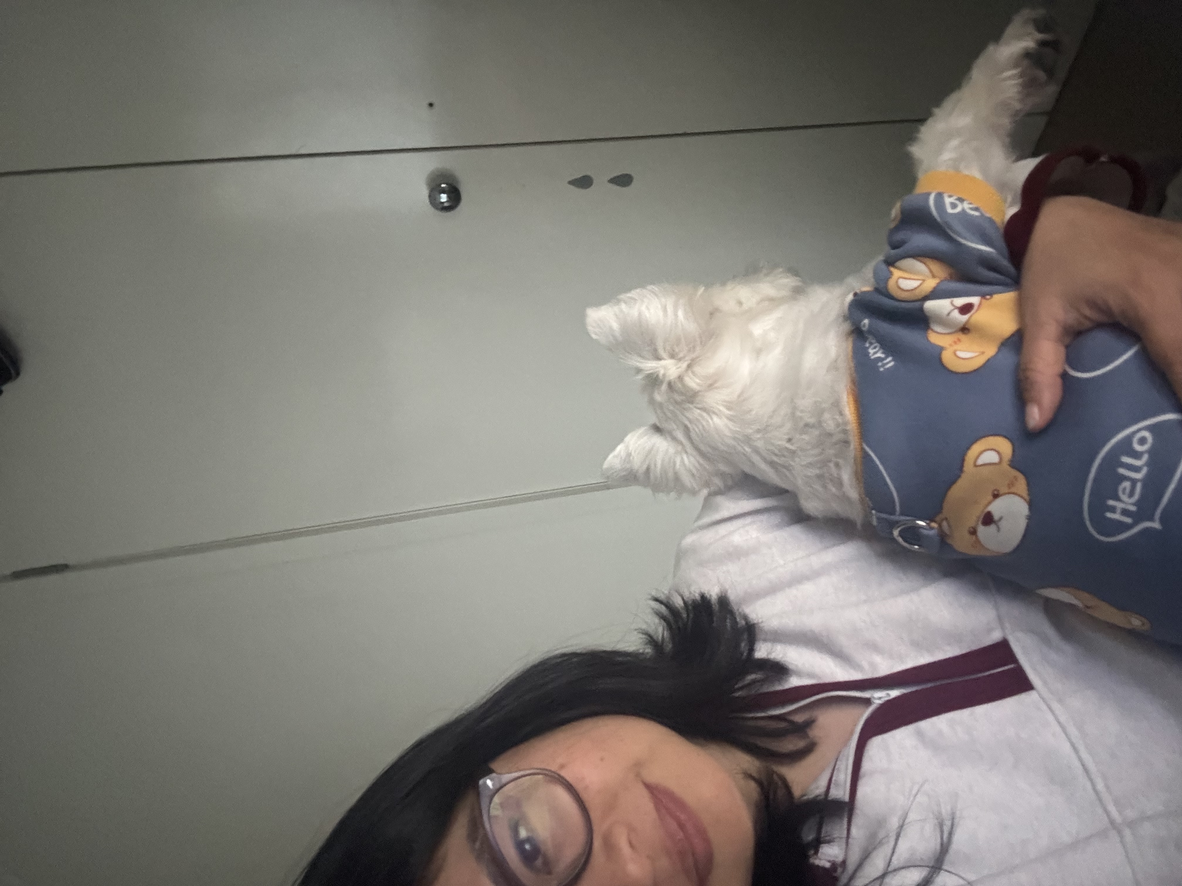 image-7