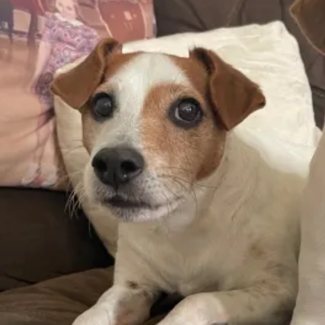 Alfie