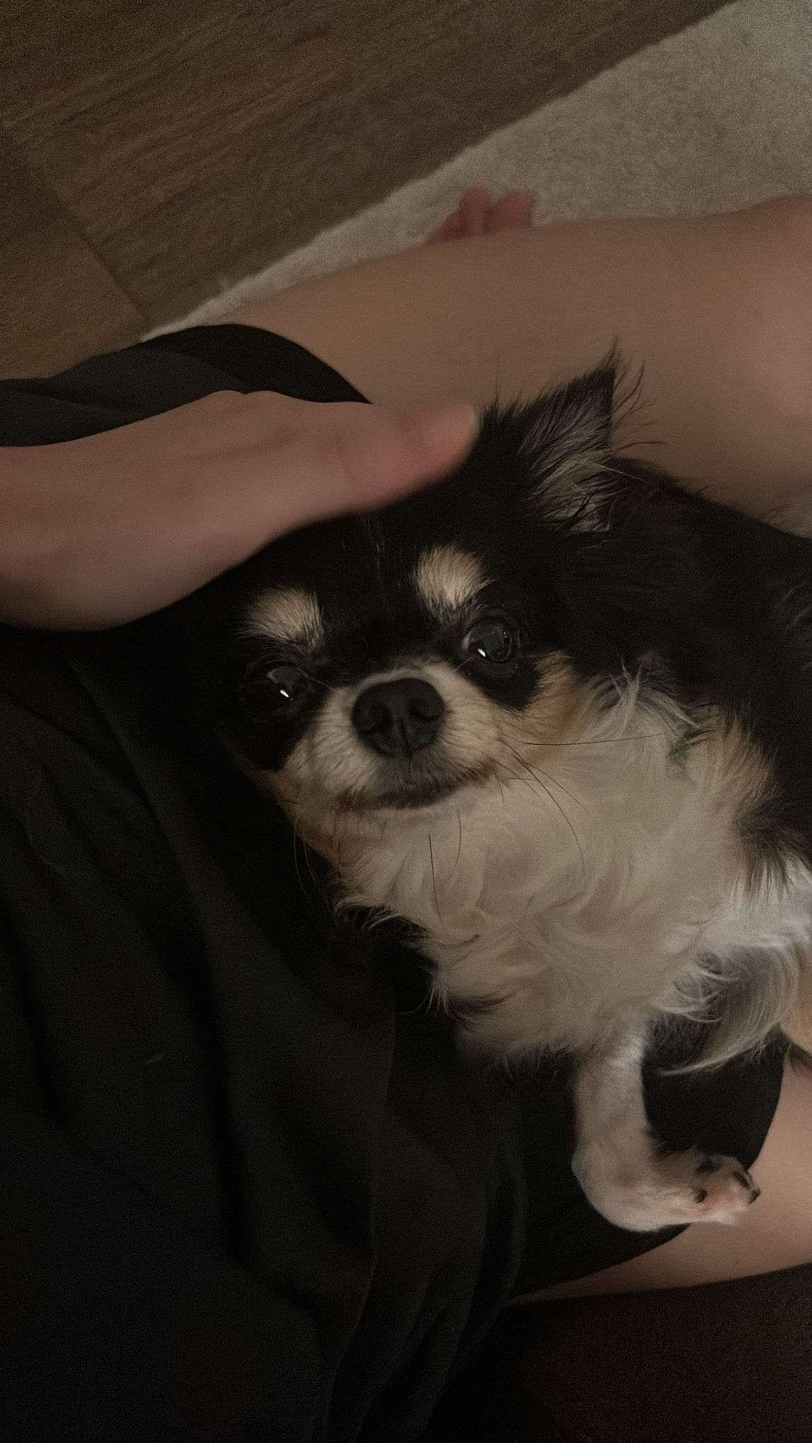 image-8