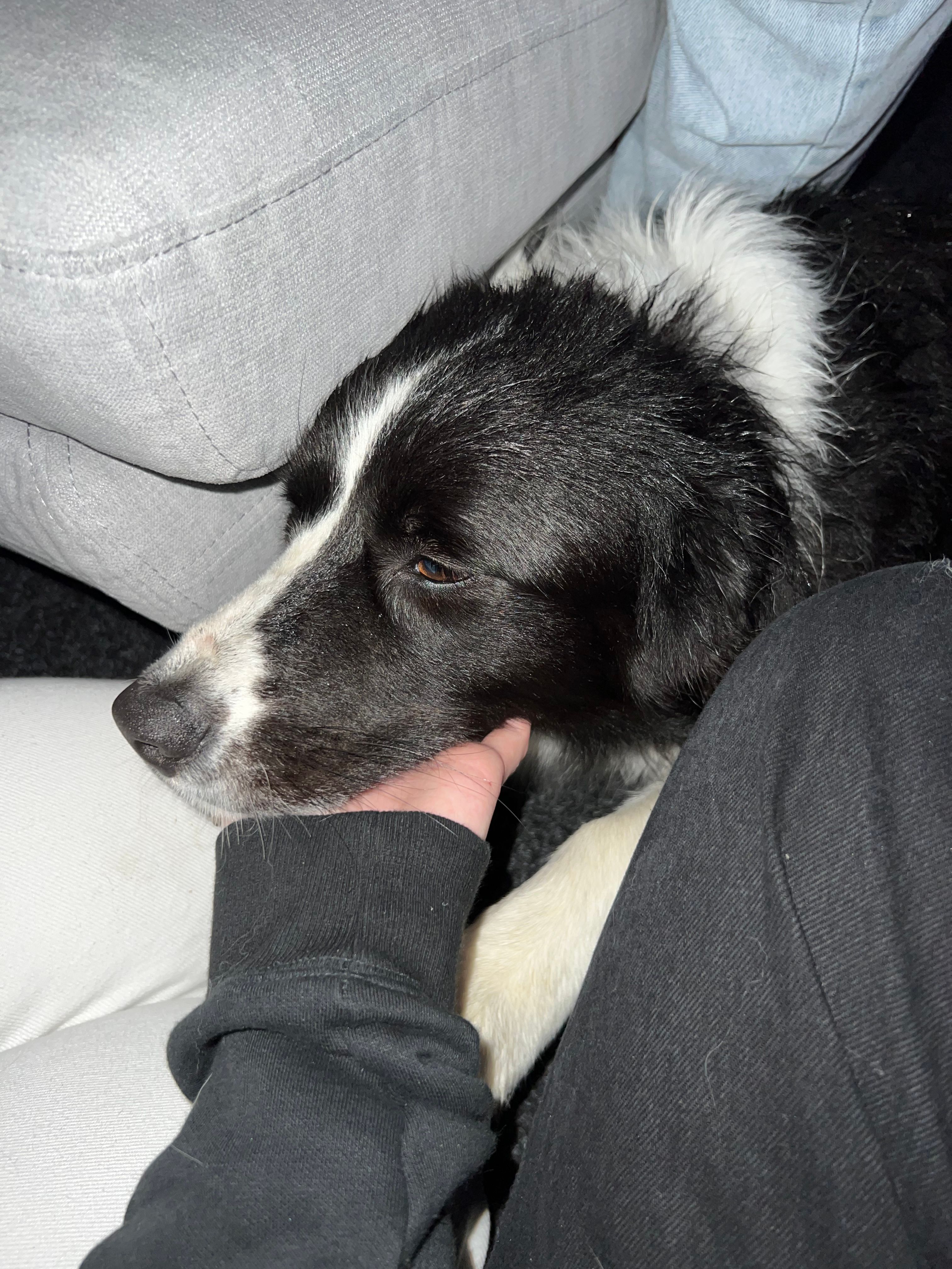 image-12