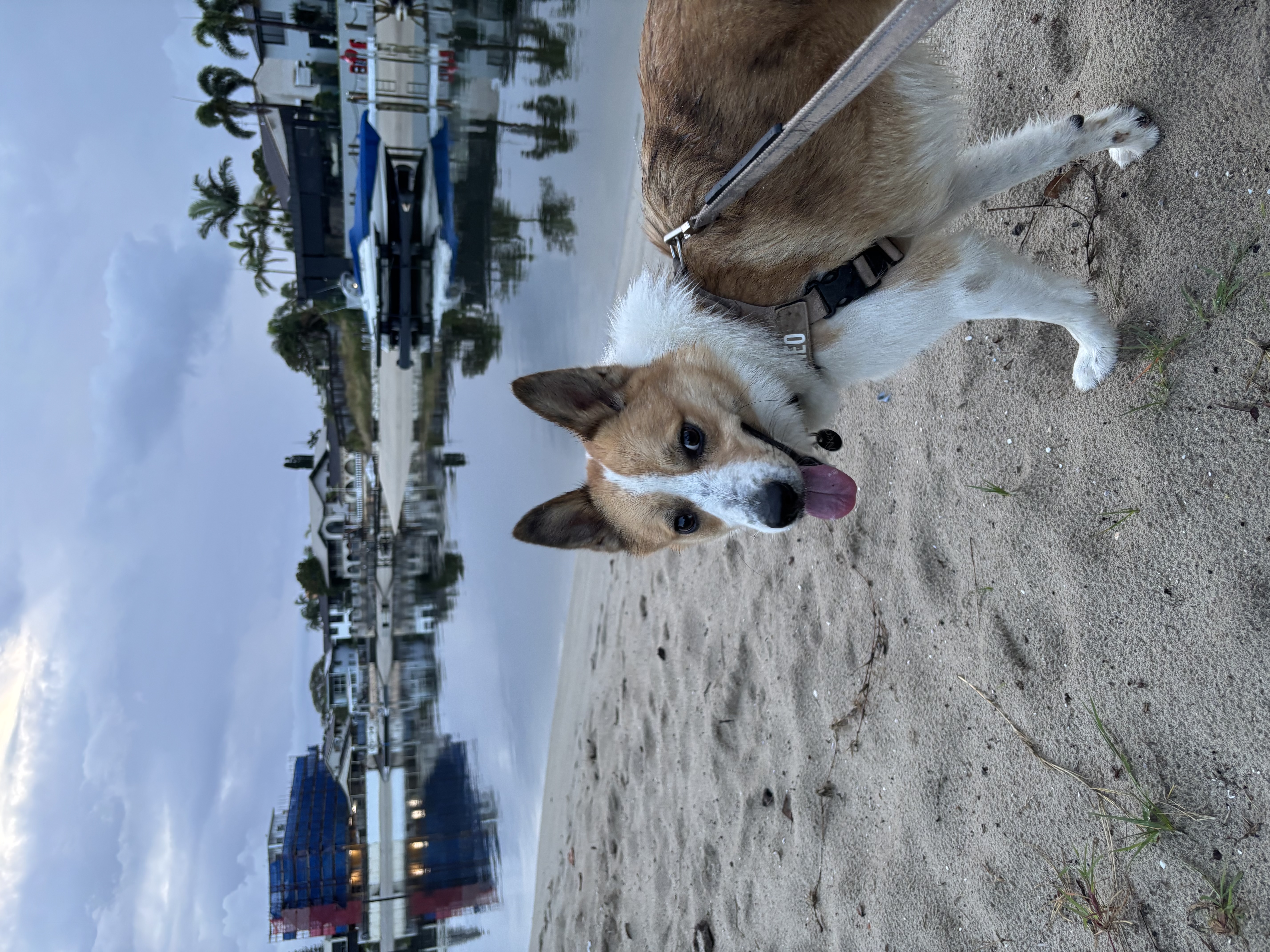 image-11