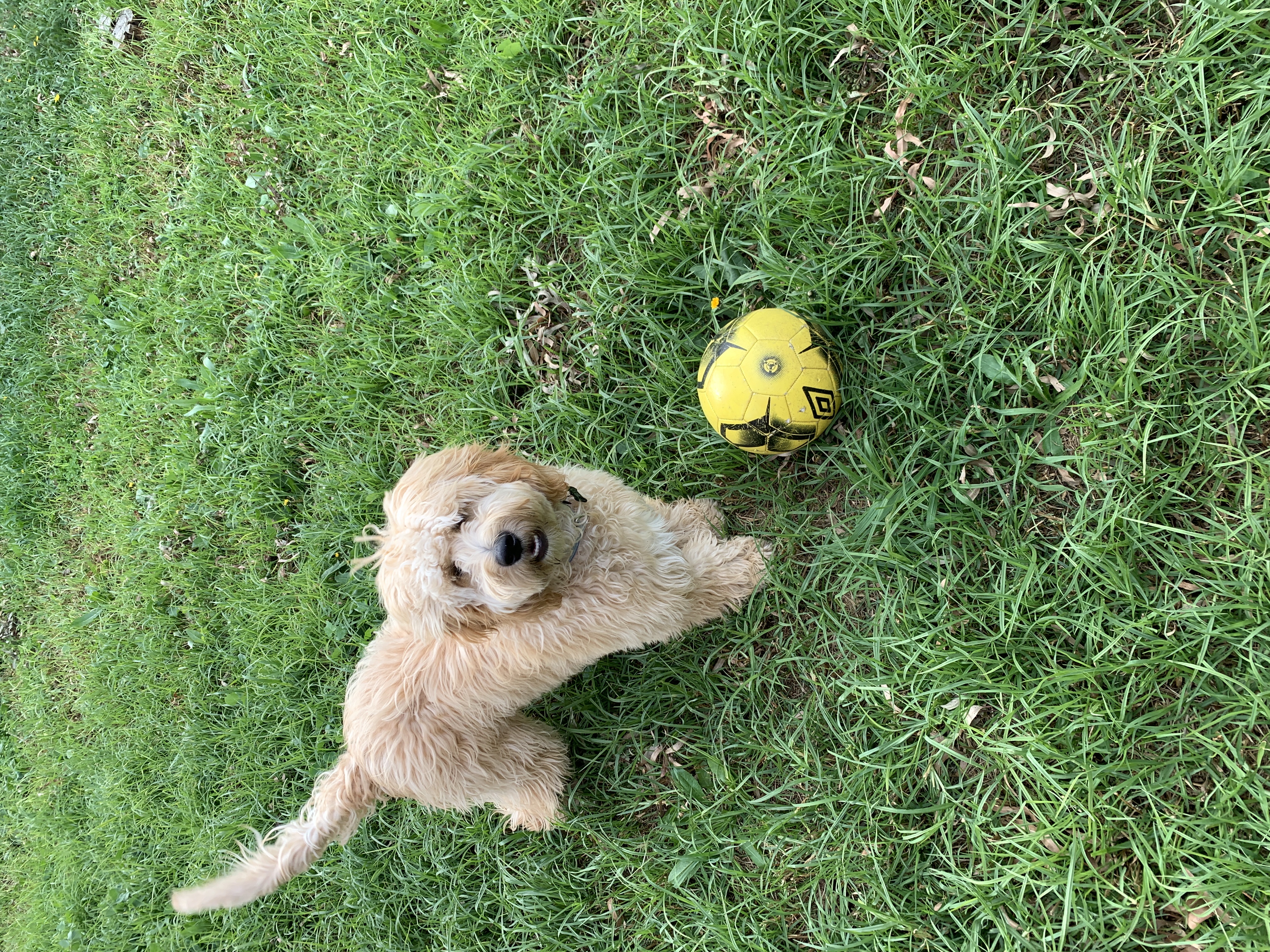 image-6