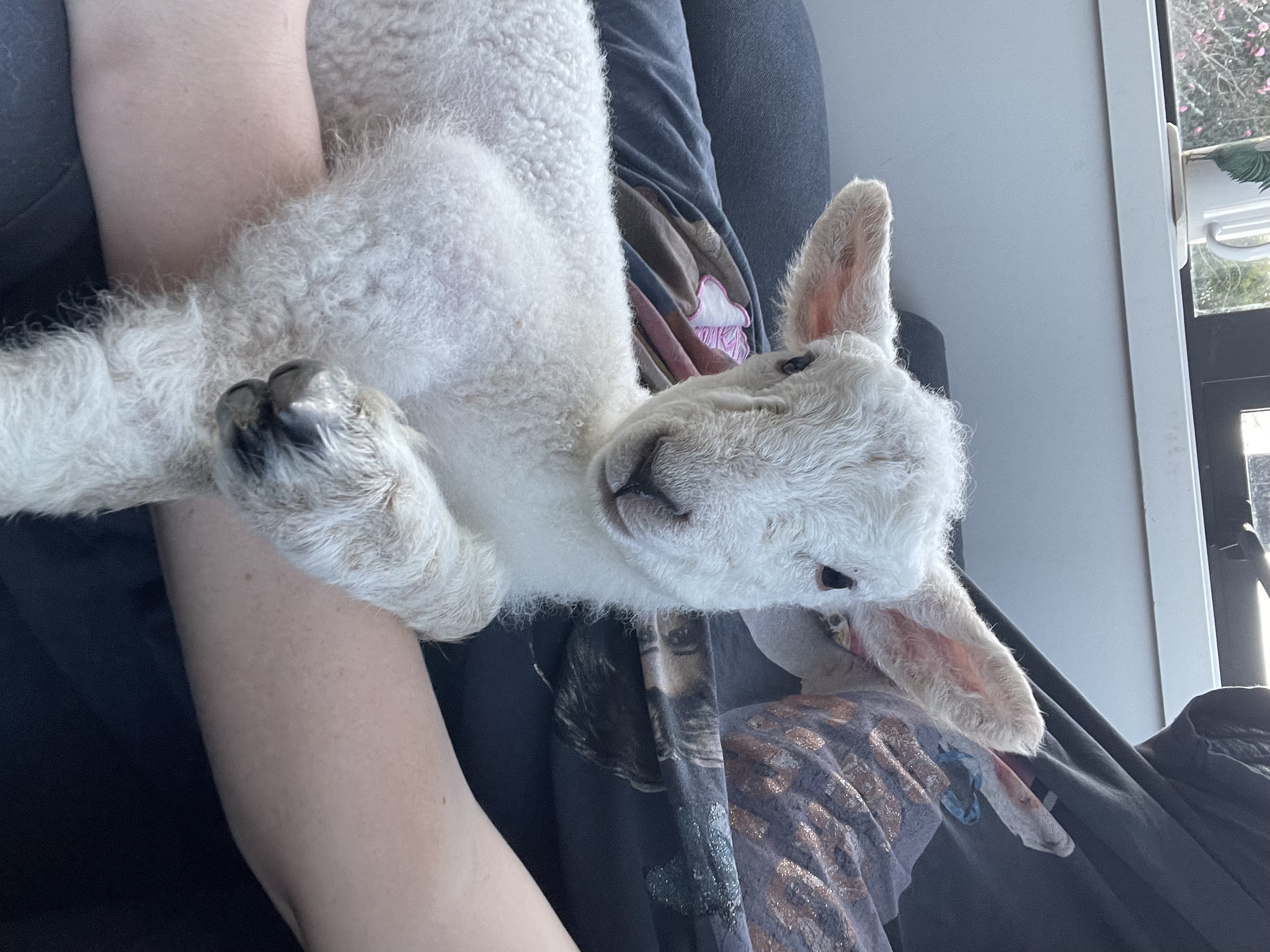 image-6