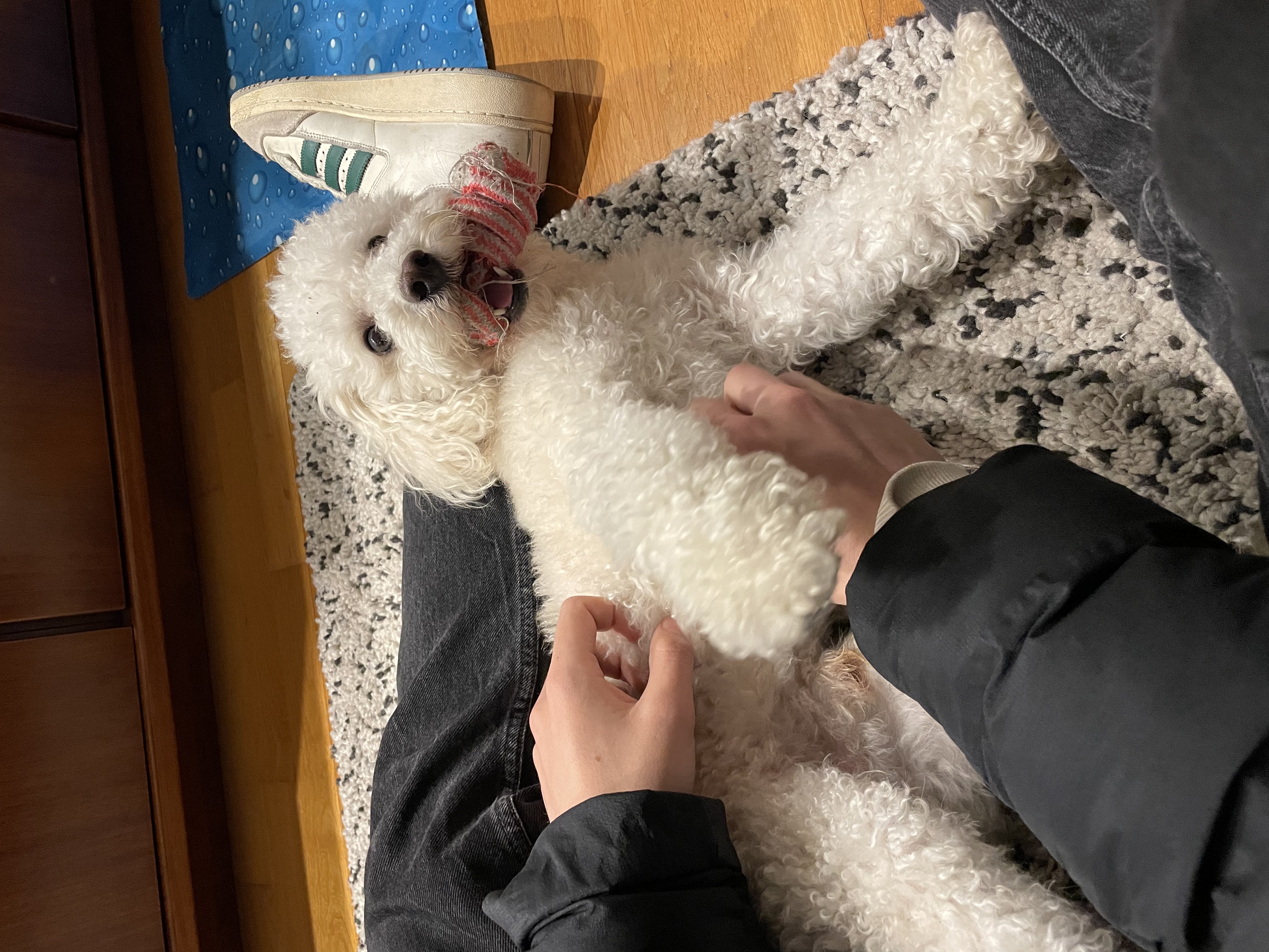 image-6