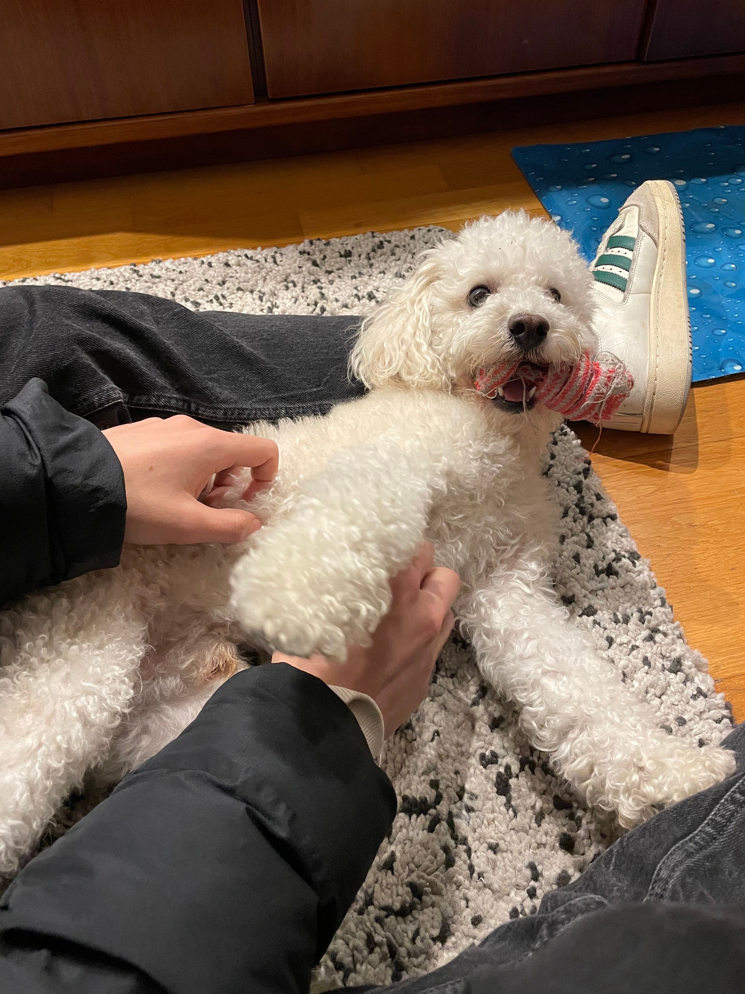 image-6