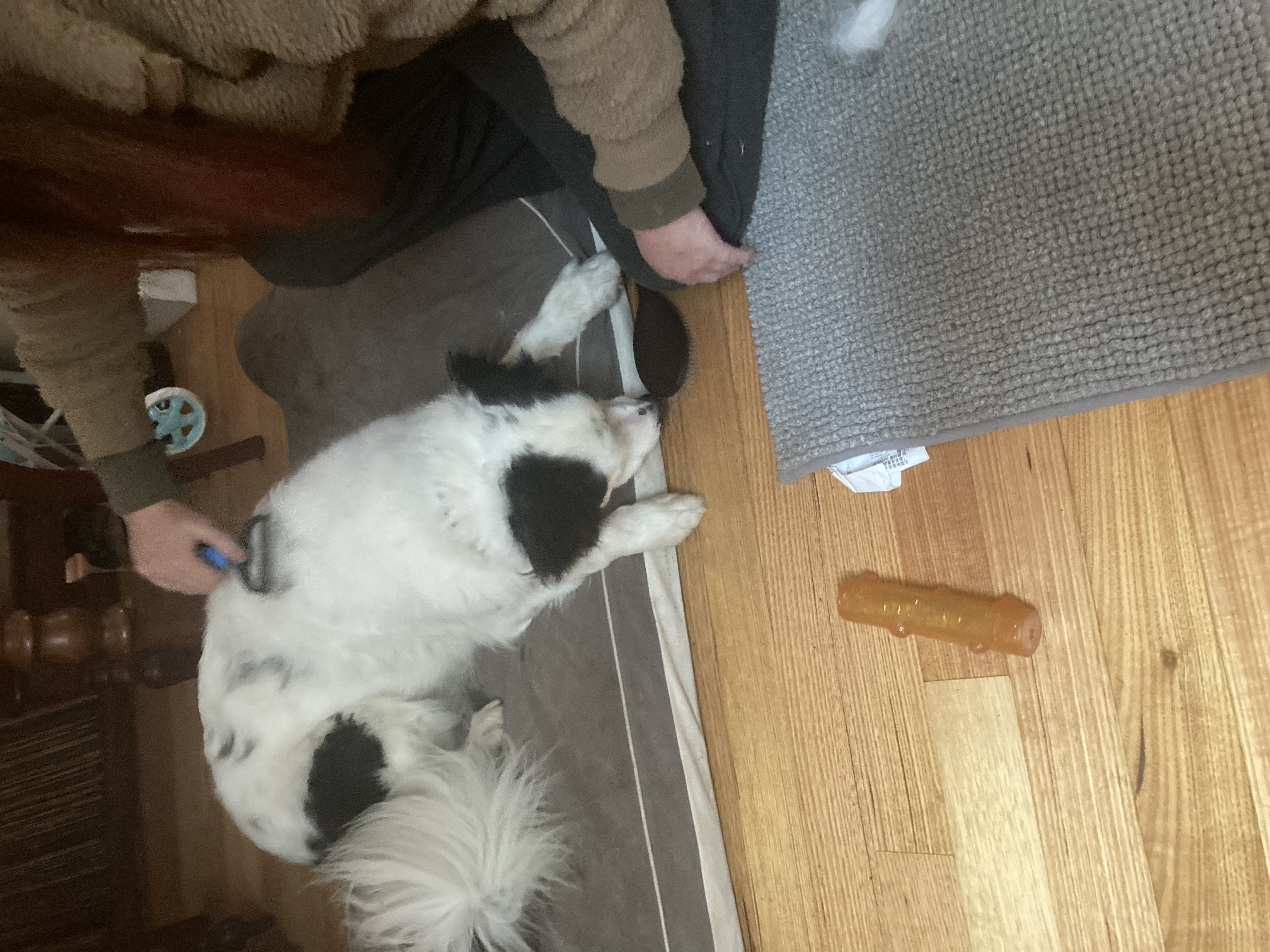 image-16