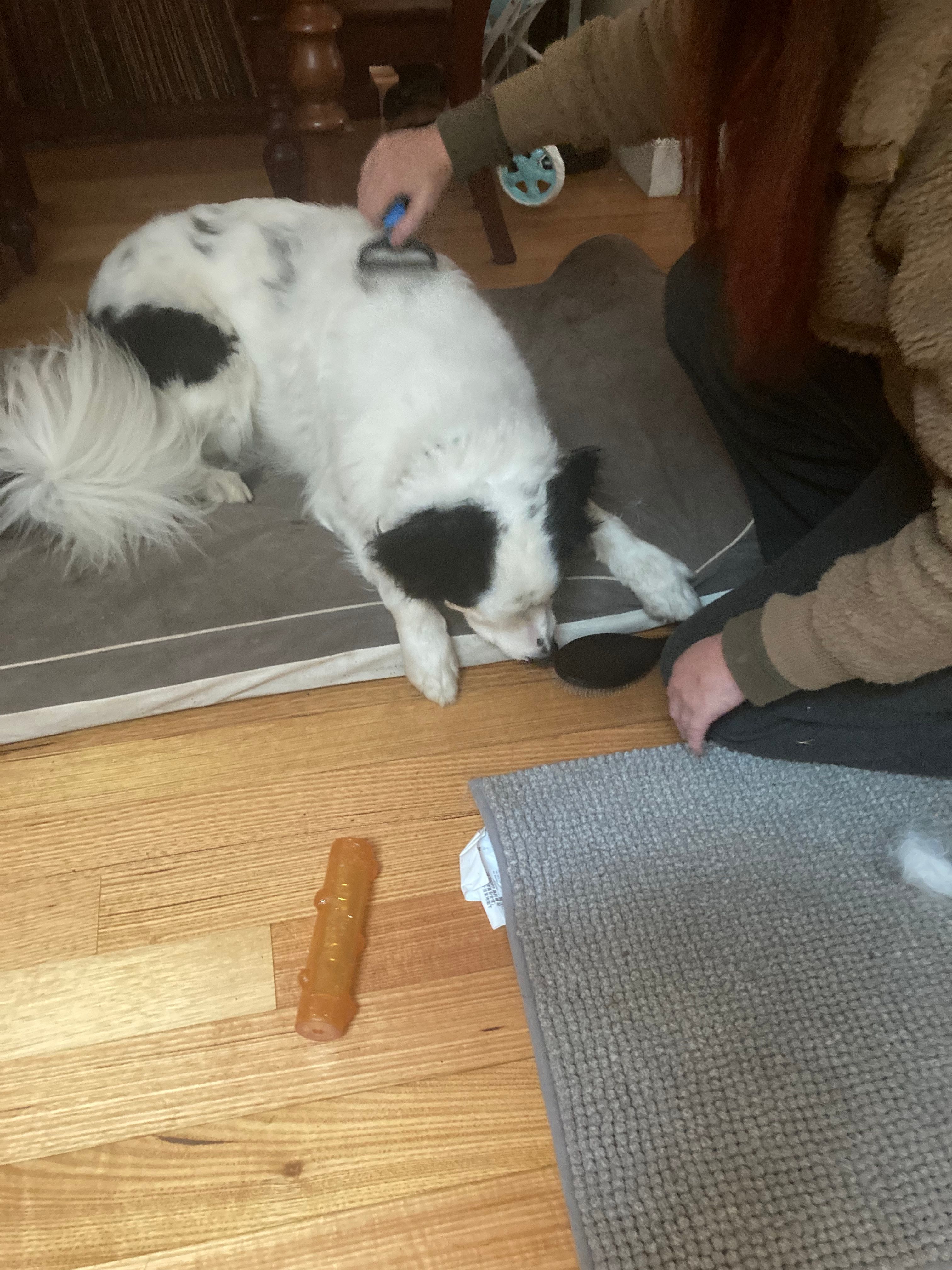 image-16