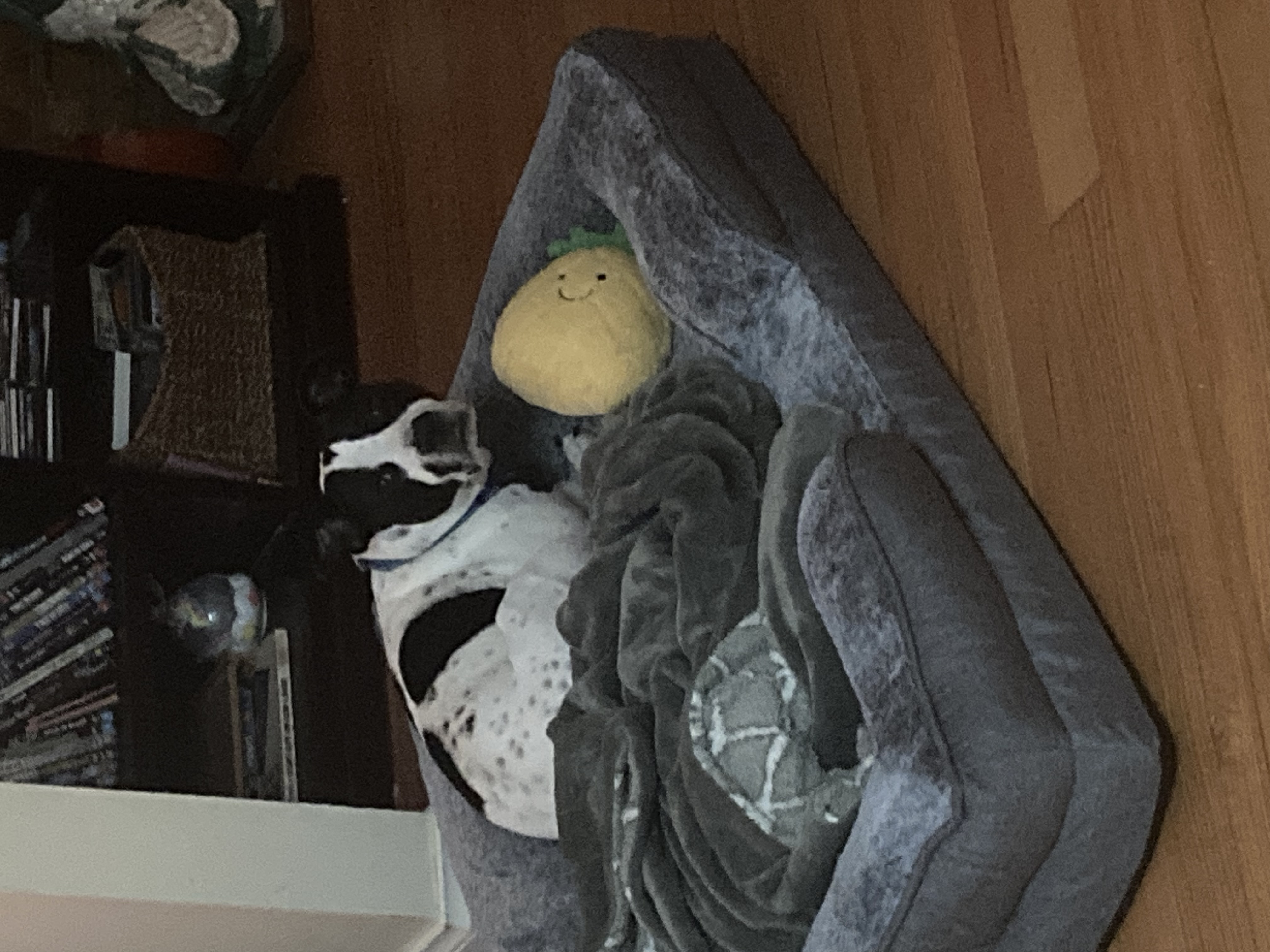 image-10