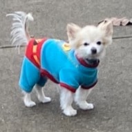 Frankie