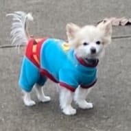 Frankie