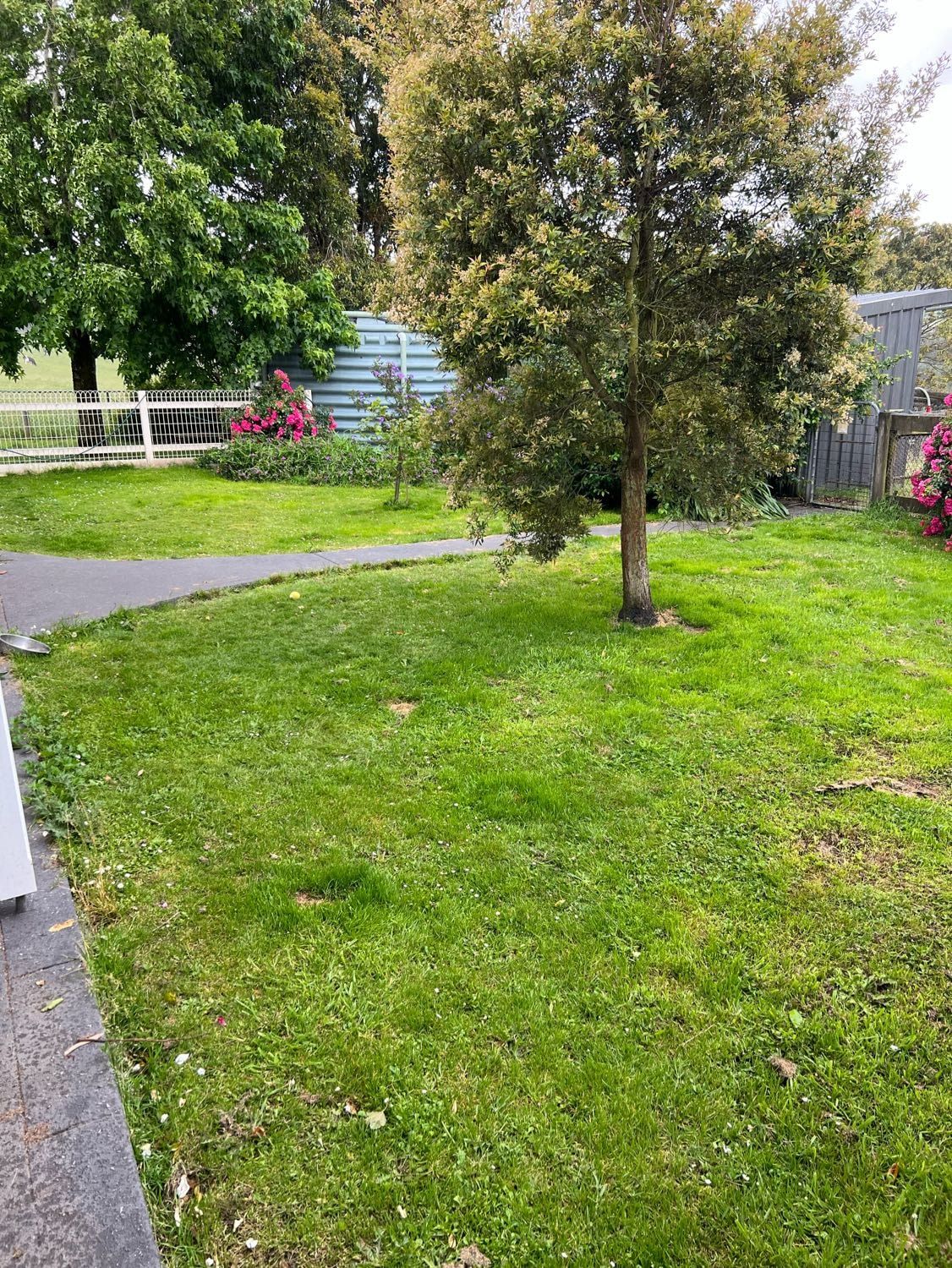 image-8