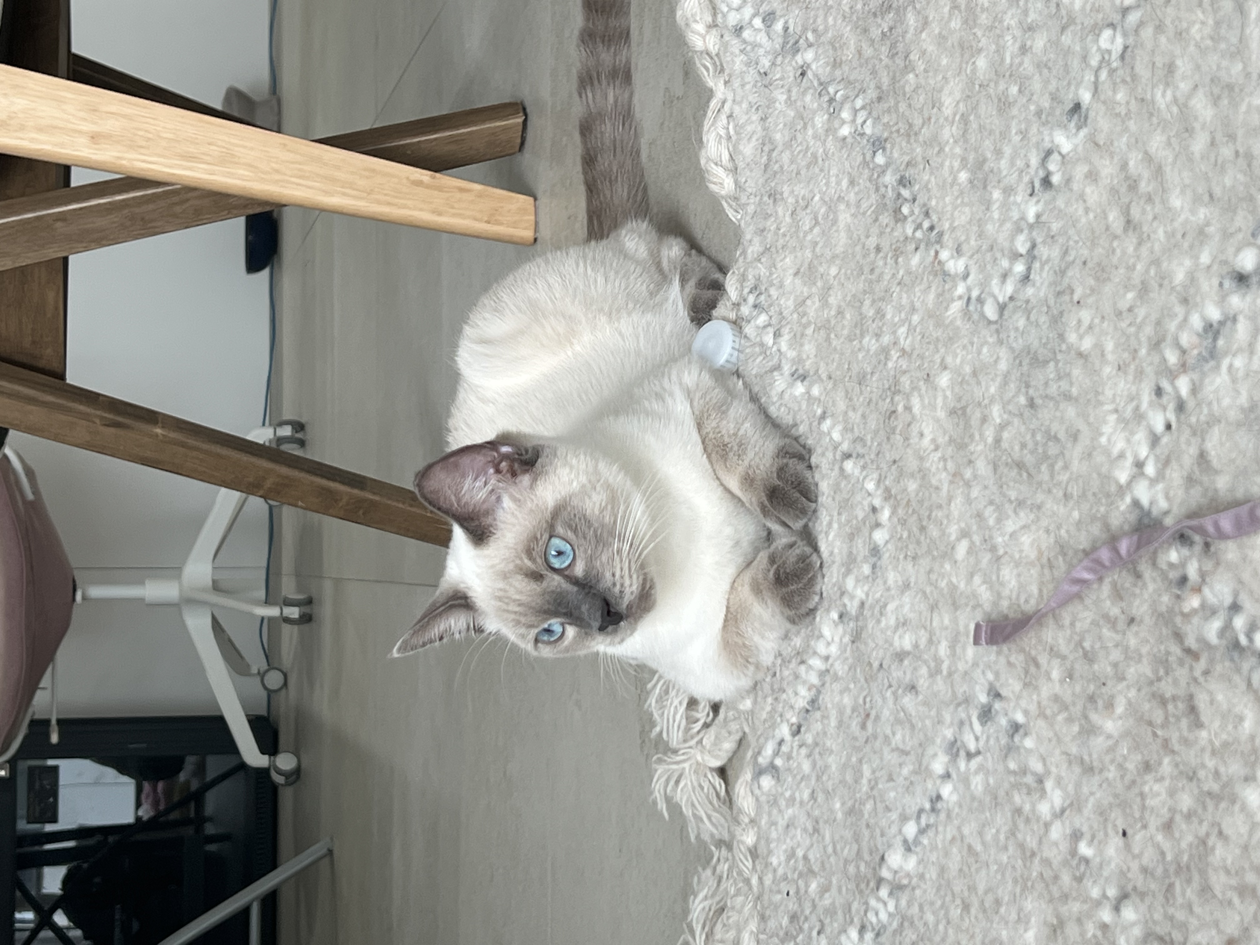 image-7