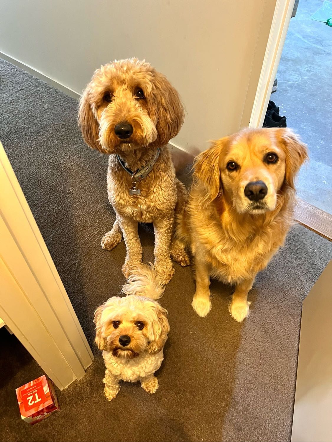 image-15