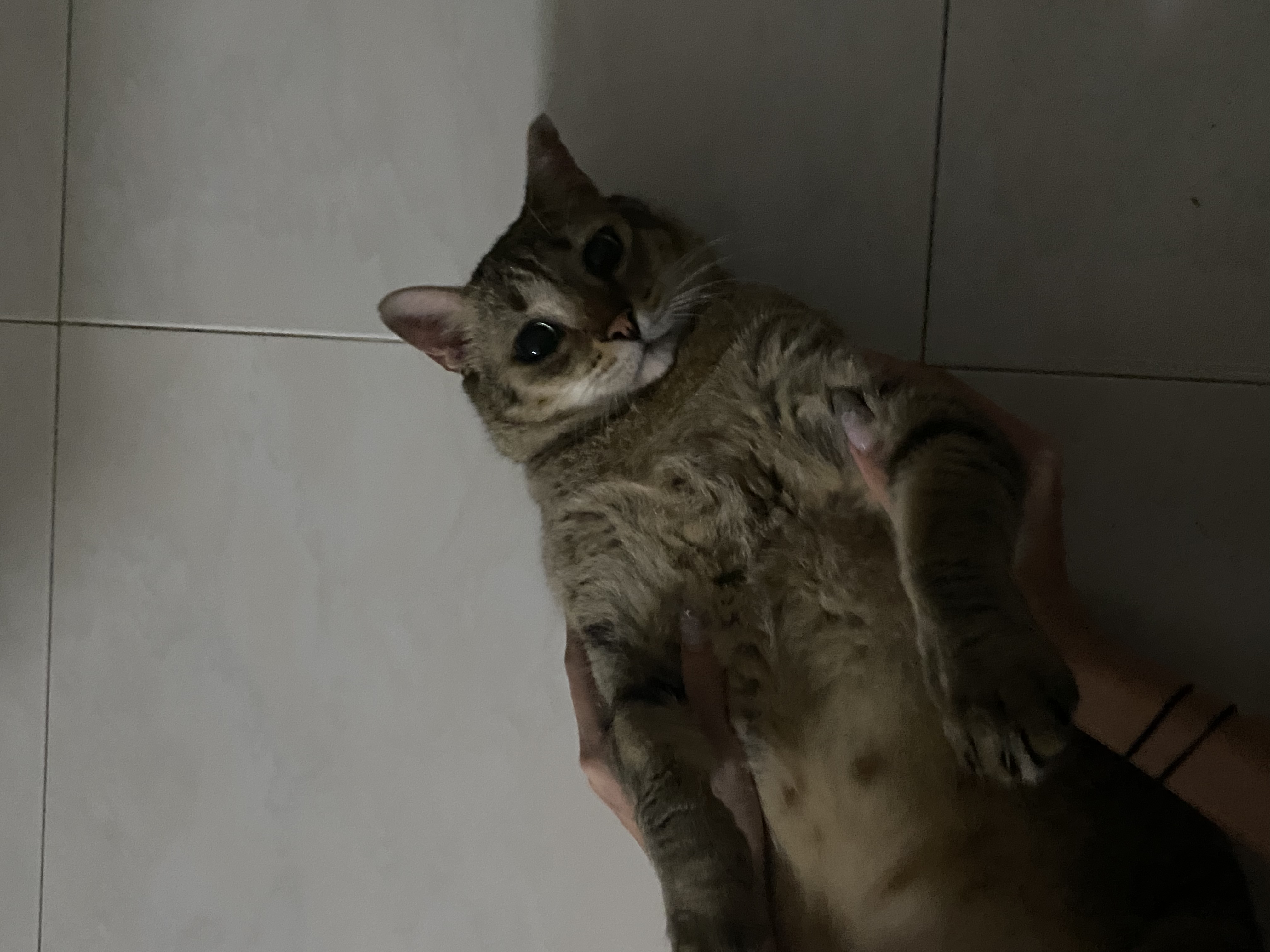 image-3